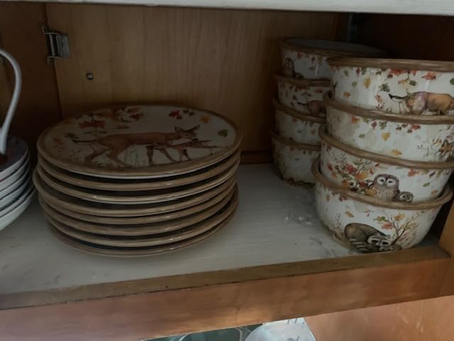 Certified International Pine Forest 16 pc Dinnerware Set, Service for 4, BROWN customer photo 2