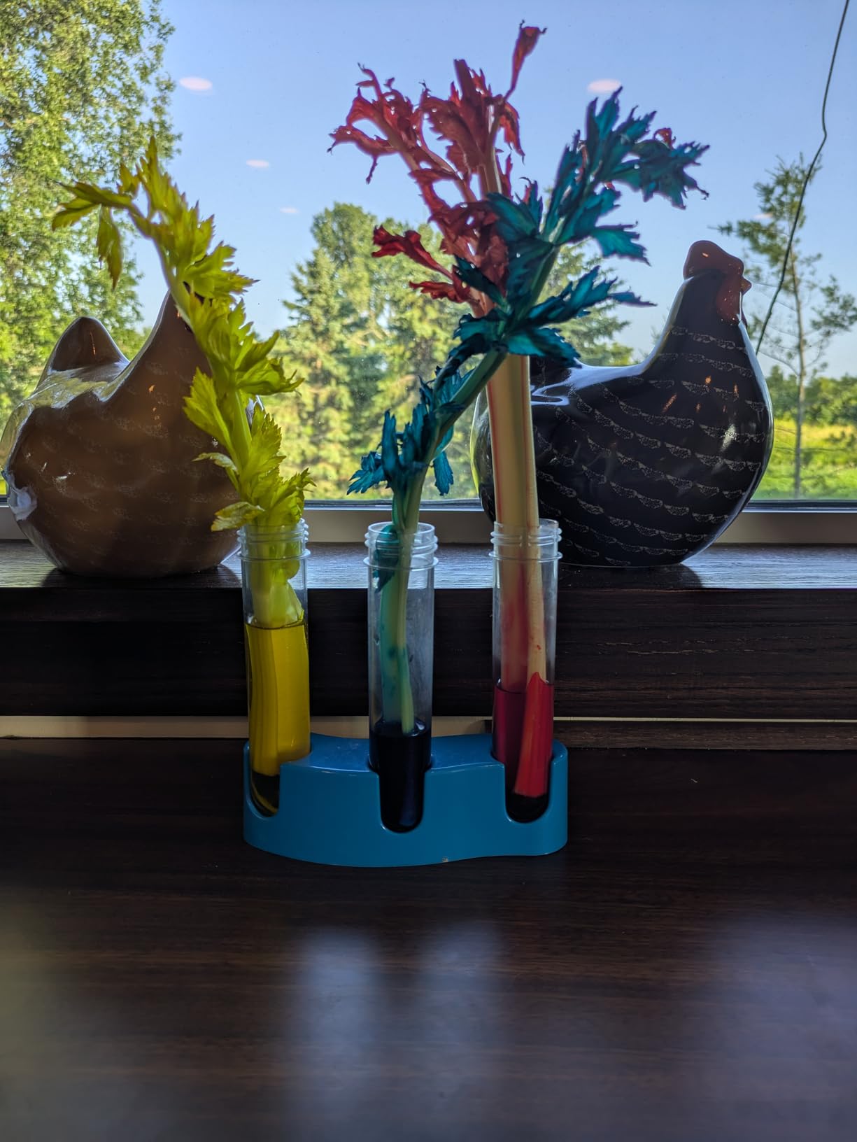 National Geographic Amazing Chemistry Set with 100+ Experiments Ages 8-12 | Crystal Growing, Chemical Reactions, STEM Projects, Hands-On Science Experiments, Science Kit, Birthday Gift customer photo 1