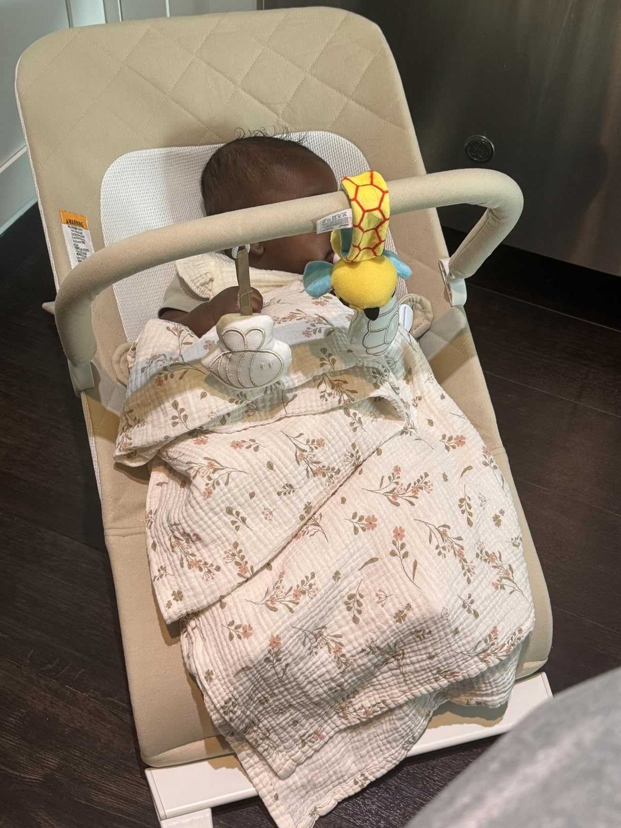 Baby Delight Alpine Deluxe Portable Bouncer, Infant, 0-6 Months, 100% GOTS Certified Cotton Fabrics, Organic Oat customer photo 2