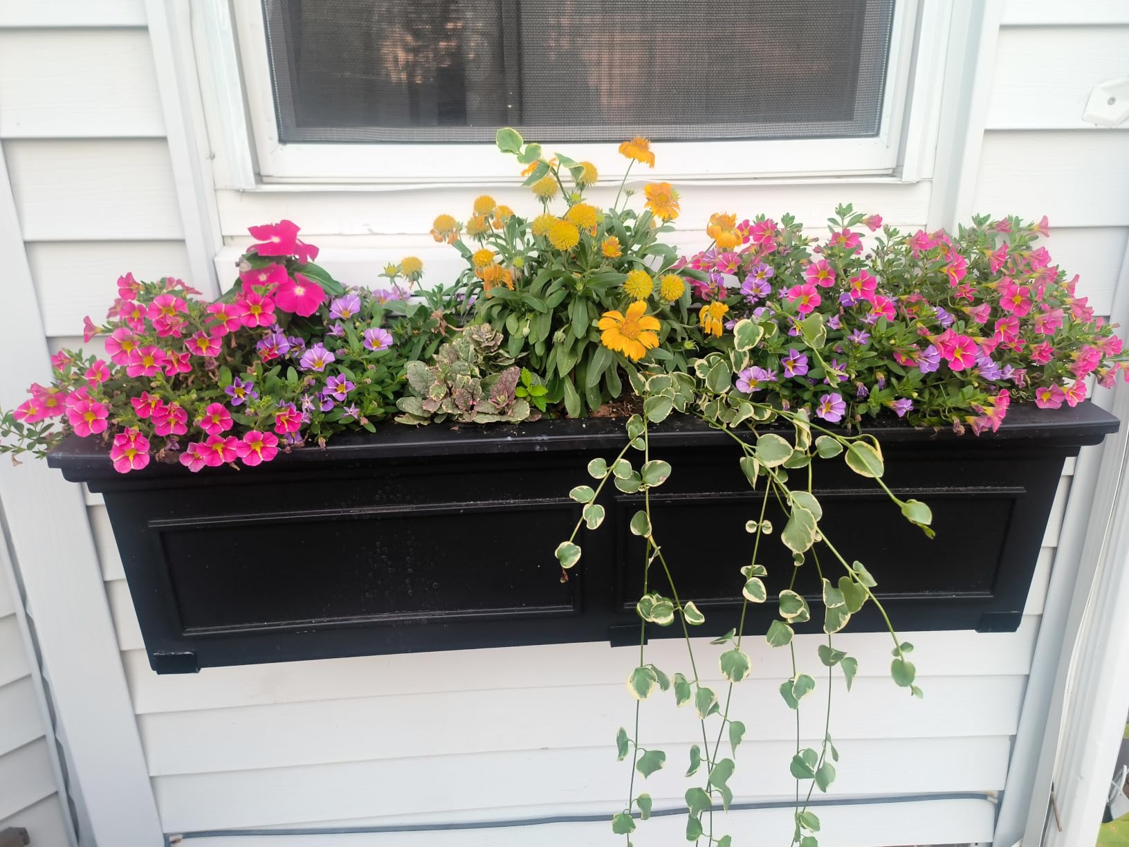 Veradek Brixton Window Box Plastic Planter - Large Rectangular Planter for Outdoor Balcony/Windowsill | Crack-Resistant All-Weather | Classic Estate Design for Flowers, Herbs, Succulents customer photo 1