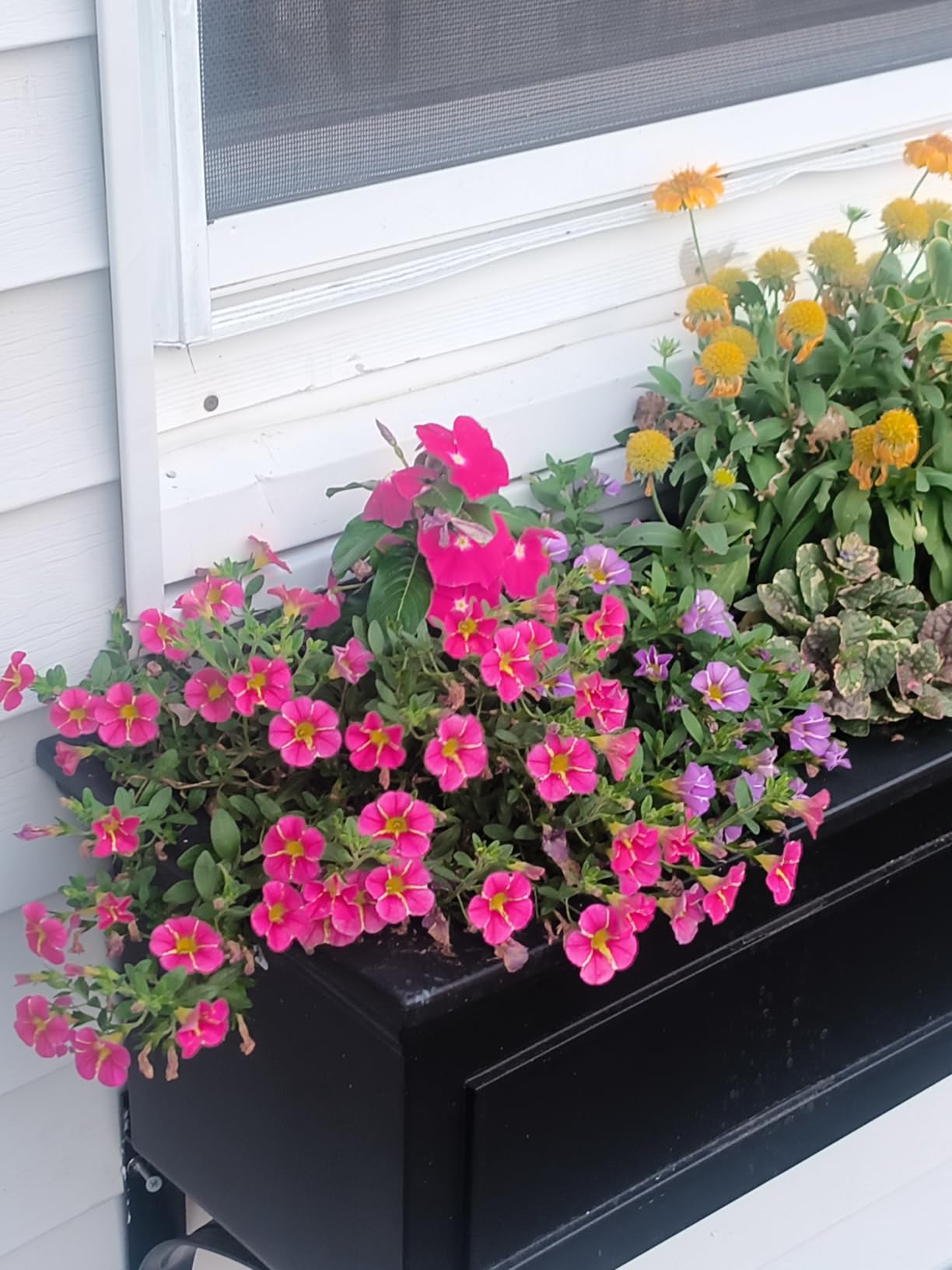 Veradek Brixton Window Box Plastic Planter - Large Rectangular Planter for Outdoor Balcony/Windowsill | Crack-Resistant All-Weather | Classic Estate Design for Flowers, Herbs, Succulents customer photo 2