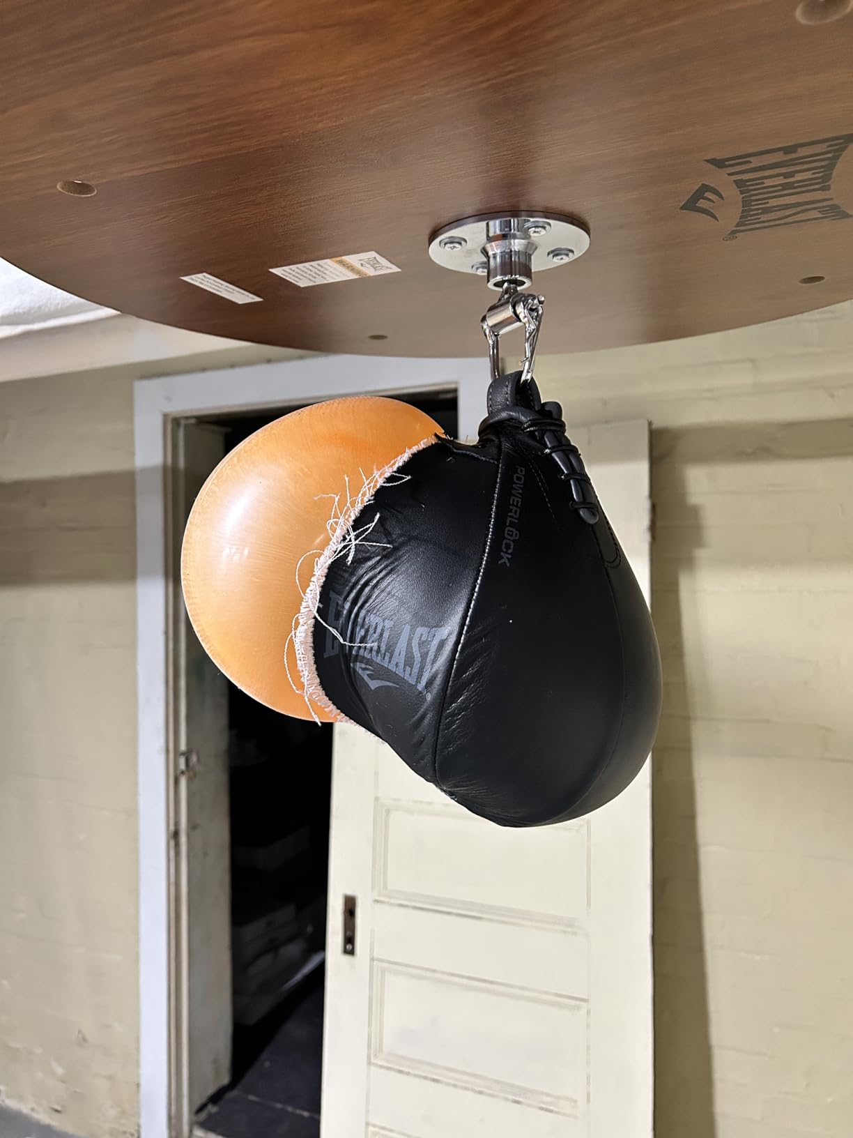 Everlast Speed Punching Bag | Speed Bag for Boxing & MMA customer photo 1