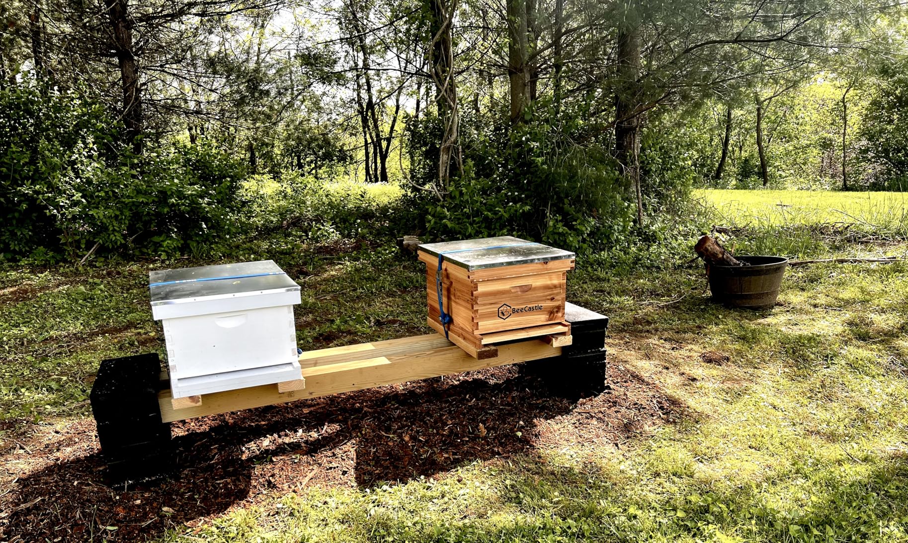 BeeCastle 10-Frame Bee Hives and Supplies Starter Kit,Beehive Kit Dipped in 100% Beeswax,Bee Keeping Supplies-All Beginners Kit Includes Beekeeping Supplies Tool Set and Bee Suit customer photo 1