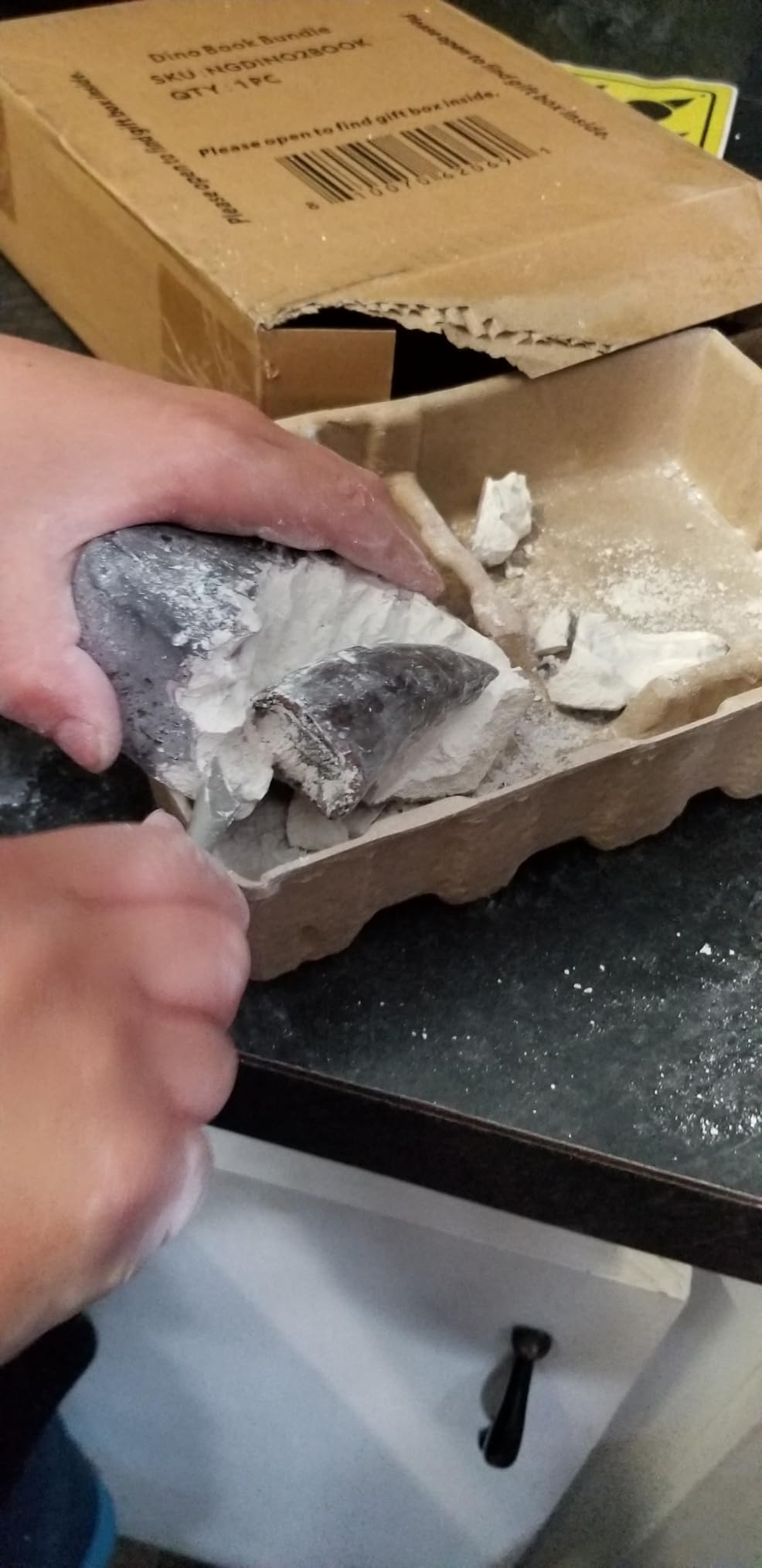 National Geographic Dinosaur Fossil Dig Kit with Dino Book for Kids 8-12 | Replica Dinosaur Tooth Fossil, Full-Color Dino Book, Excavation Tools, Paleontology Learning, STEM Activity customer photo 1