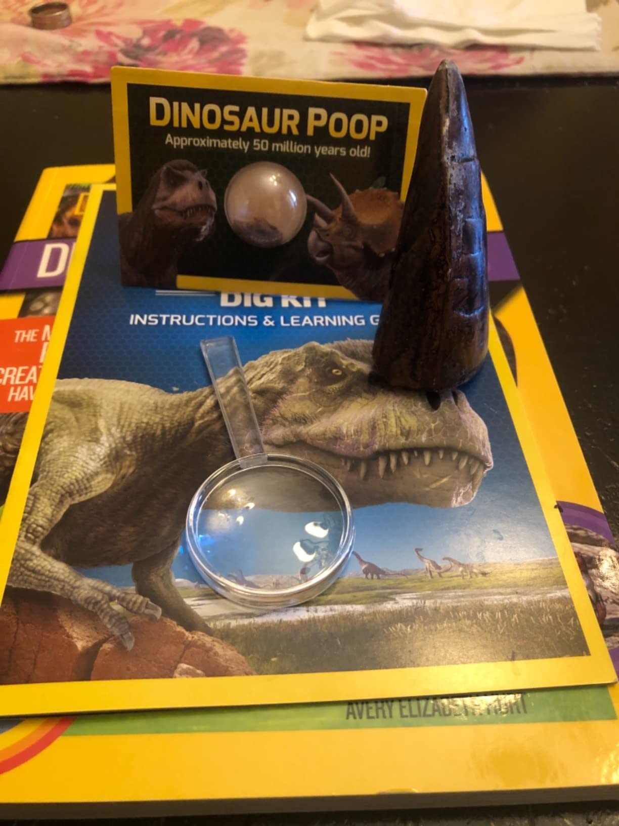 National Geographic Dinosaur Fossil Dig Kit with Dino Book for Kids 8-12 | Replica Dinosaur Tooth Fossil, Full-Color Dino Book, Excavation Tools, Paleontology Learning, STEM Activity customer photo 2