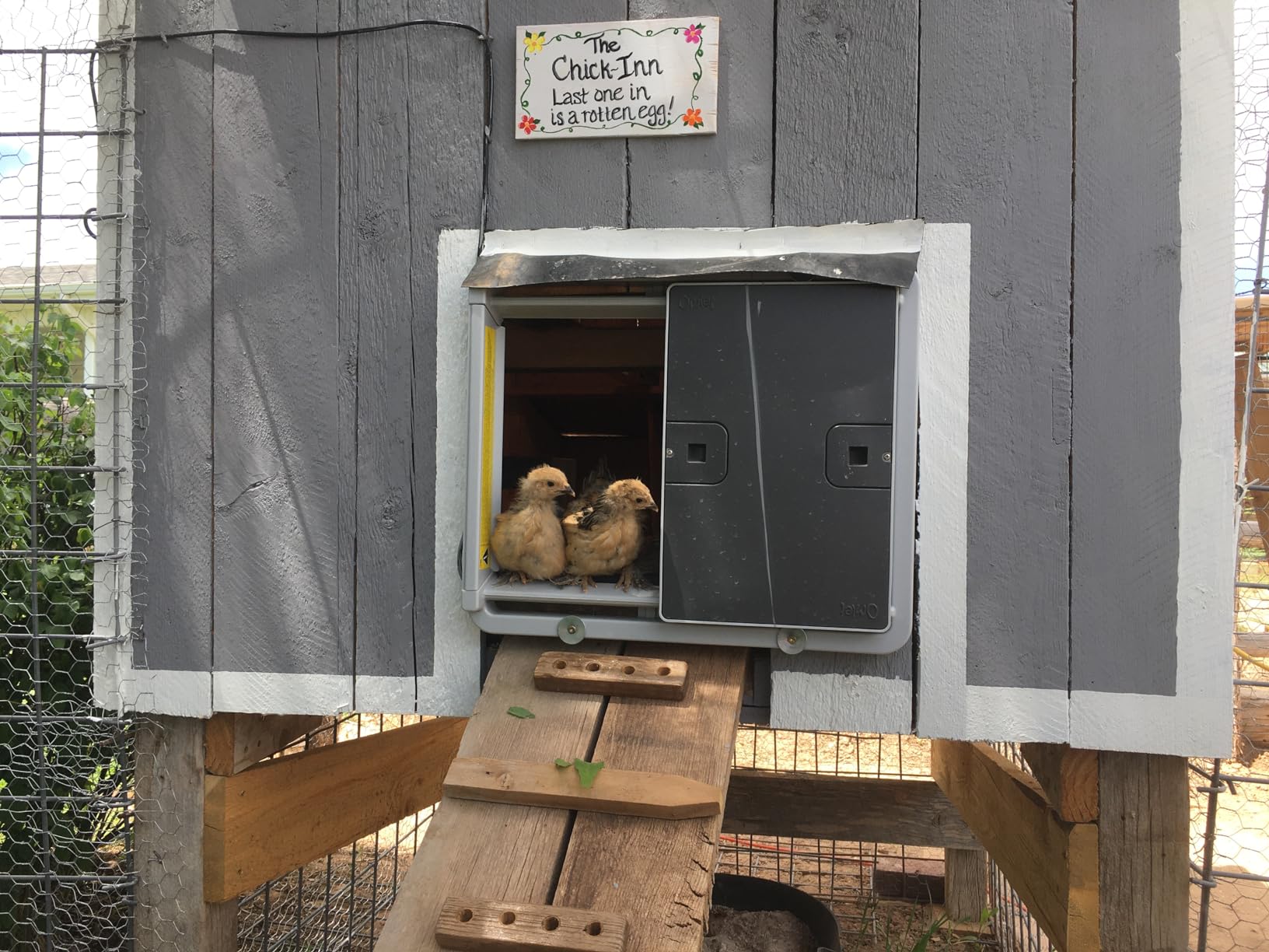 Omlet Automatic Chicken Coop Door Opener | Operated by Light Sensor or Timer | Easy to Install, No Maintenance Required | Improves Coop Security and Insulation | Built-in Safety Sensors | Grey customer photo 1