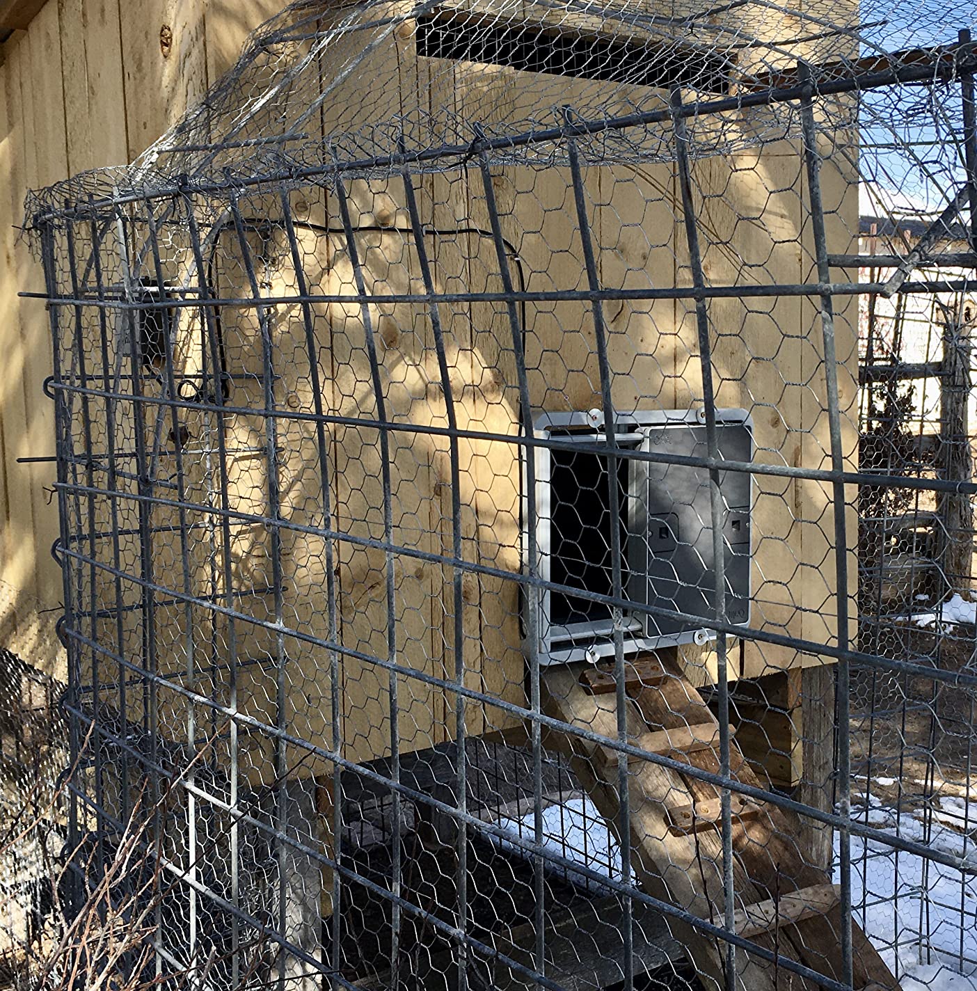 Omlet Automatic Chicken Coop Door Opener | Operated by Light Sensor or Timer | Easy to Install, No Maintenance Required | Improves Coop Security and Insulation | Built-in Safety Sensors | Grey customer photo 2