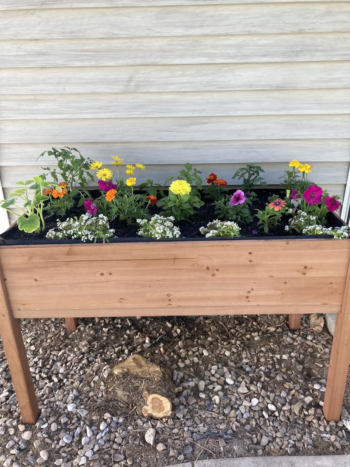 SoliWood Raised Garden Bed with Legs, 48x24x30'', Outdoor Wood Elevated Planter Box, Grey Cedar, Thick Legs, w/Liner customer photo 1
