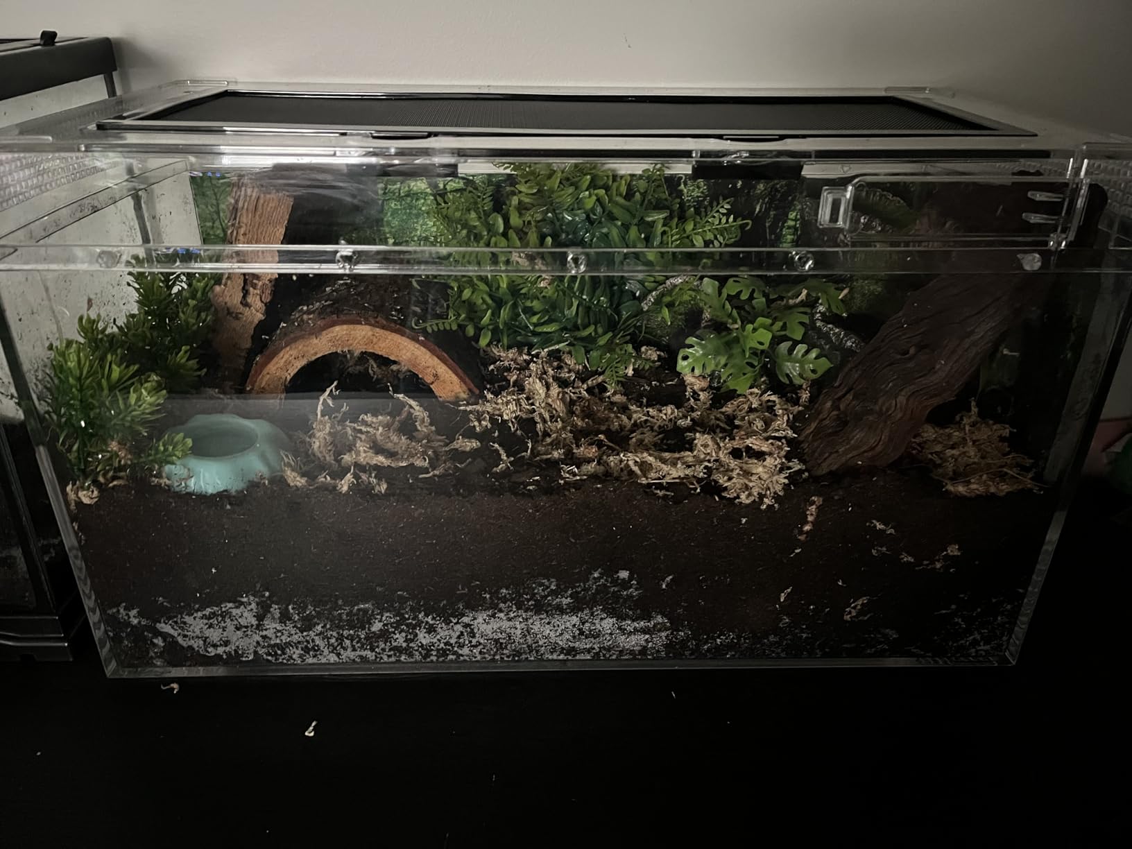 Reptile Growth Reptile Terrarium,10 Gallon Reptile Tank 20