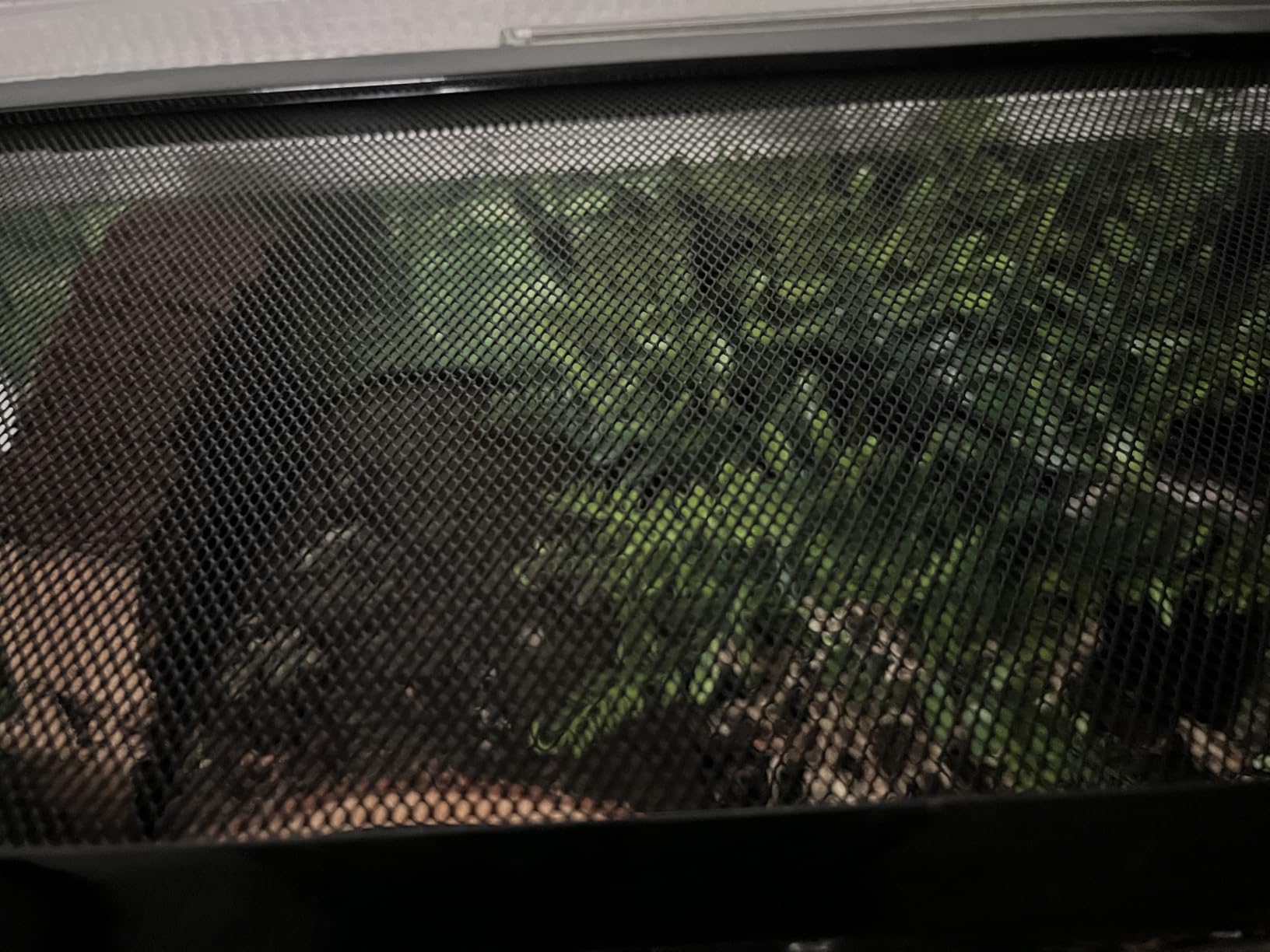 Reptile Growth Reptile Terrarium,10 Gallon Reptile Tank 20
