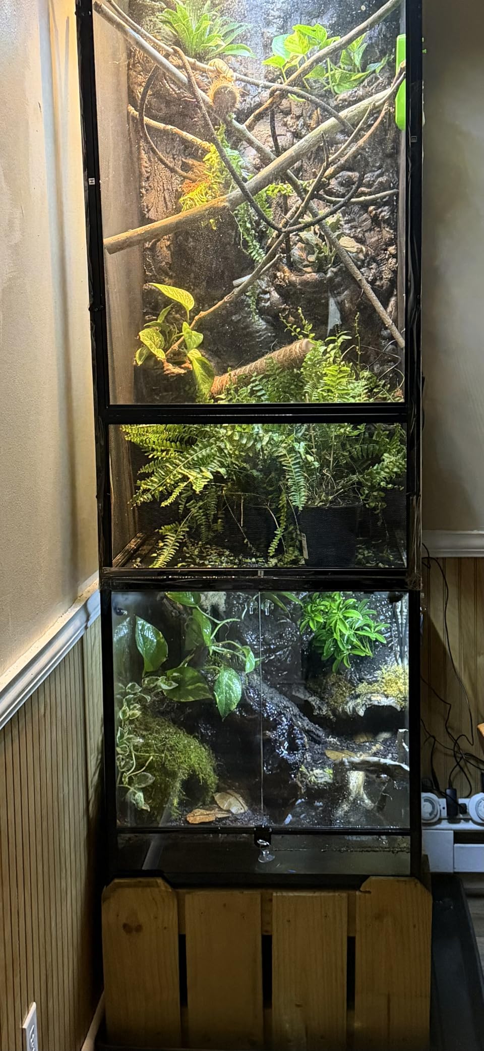 REPTIZOO 45 Gallon Glass Reptile Terrarium 24