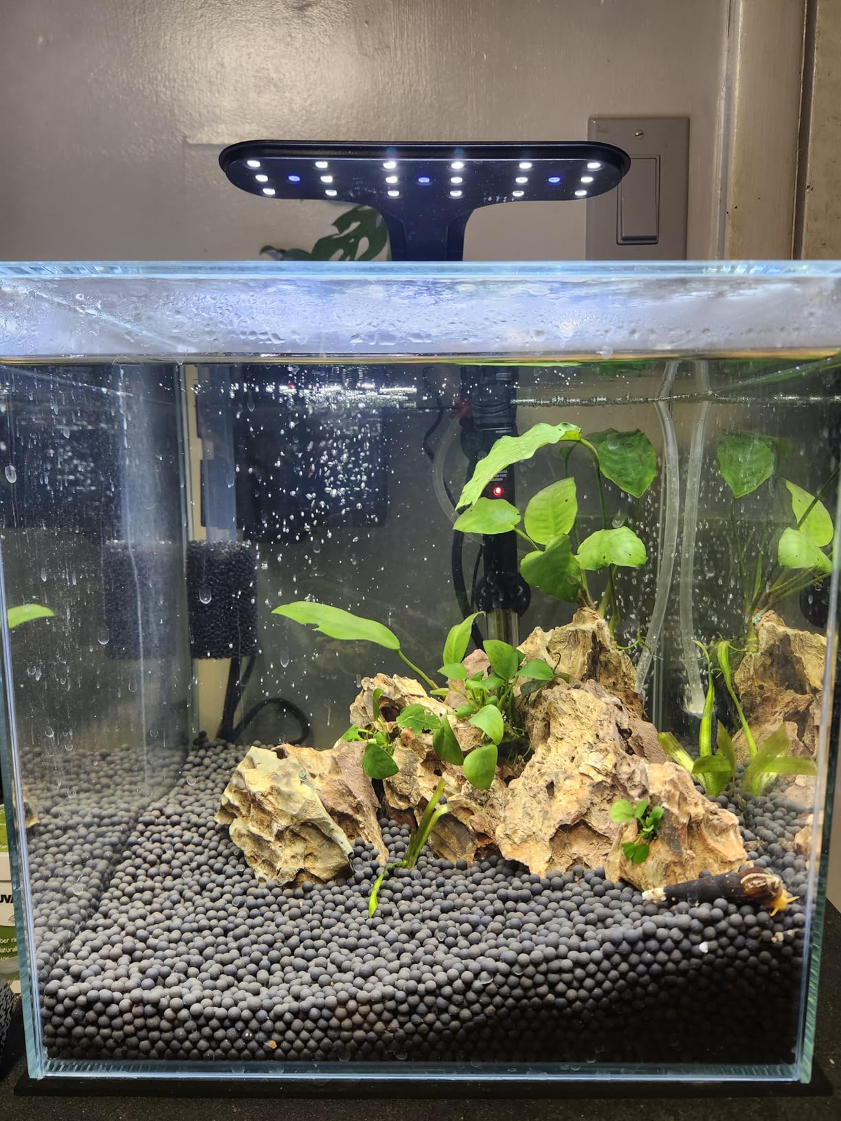 7Gal Ultra Clear Rimless Low Iron Glass Cubic Aquarium Tank (W11.81×D11.81×H11.81 inch(30x30x30cm)) 5mm Thickness Include Black Leveling Mat customer photo 2