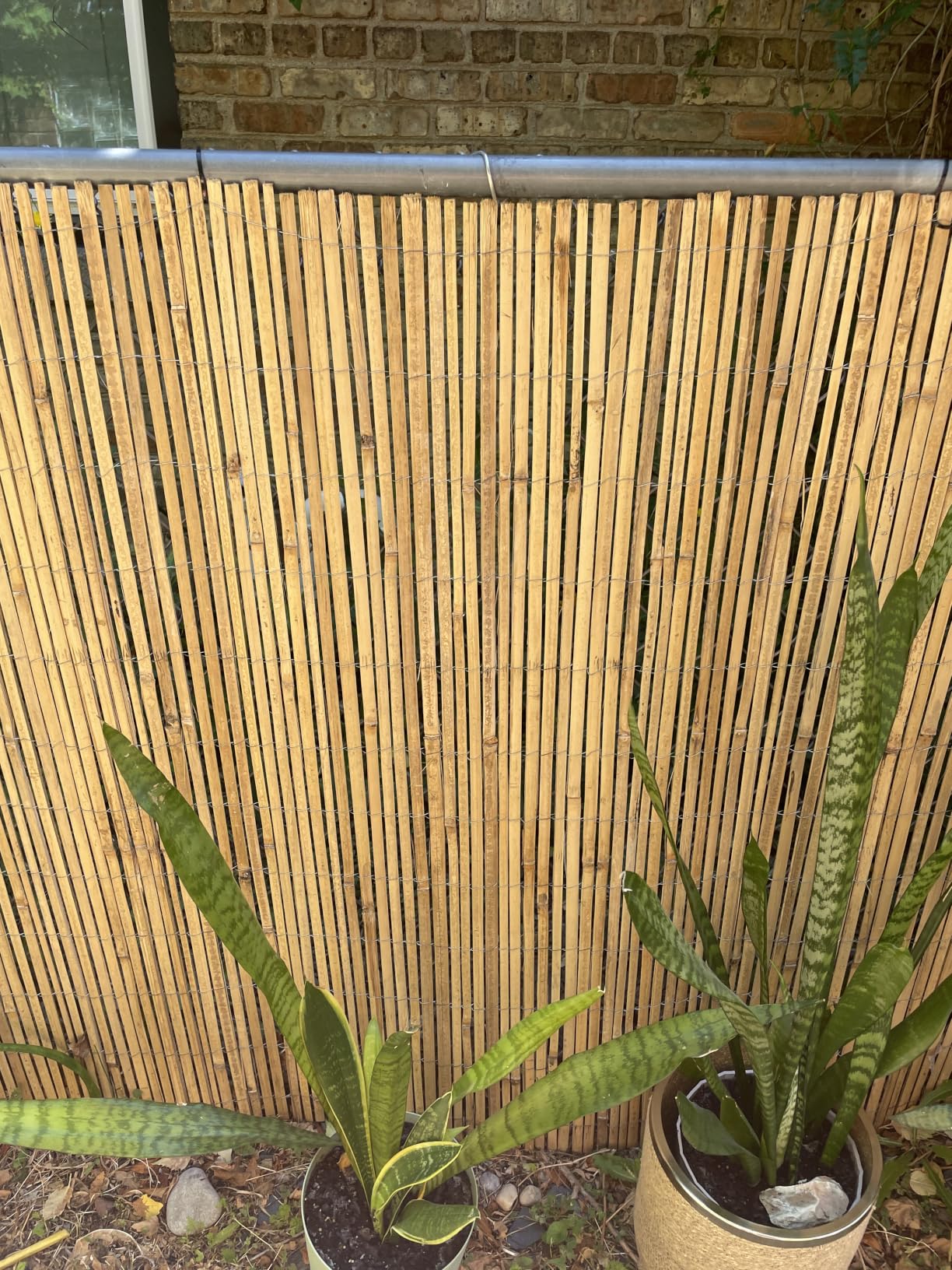 FOREVER BAMBOO Natural Bamboo Fencing Decorative Rolled Fence Panel 1 in D x 6 ft H x 8 ft L customer photo 1