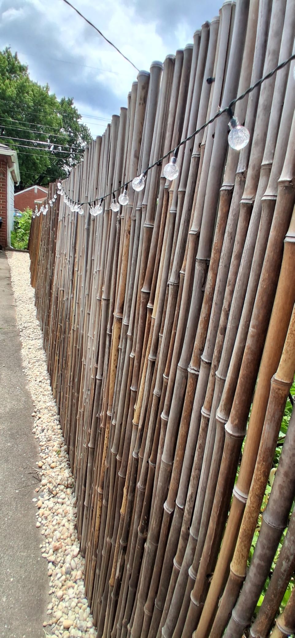 FOREVER BAMBOO Natural Bamboo Fencing Decorative Rolled Fence Panel 1 in D x 6 ft H x 8 ft L customer photo 2