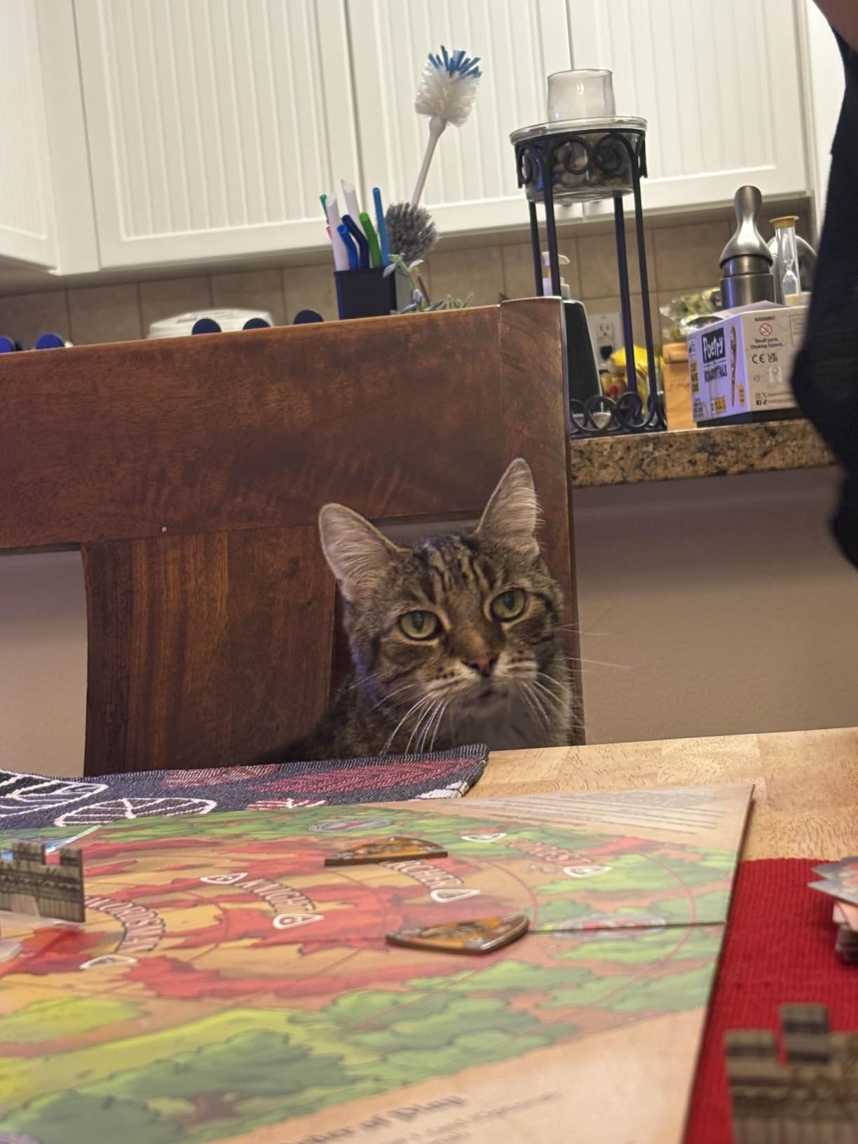 Fireside Games Castle Panic 2nd Edition Fantasy Board Game | Cooperative tower defense customer photo 1