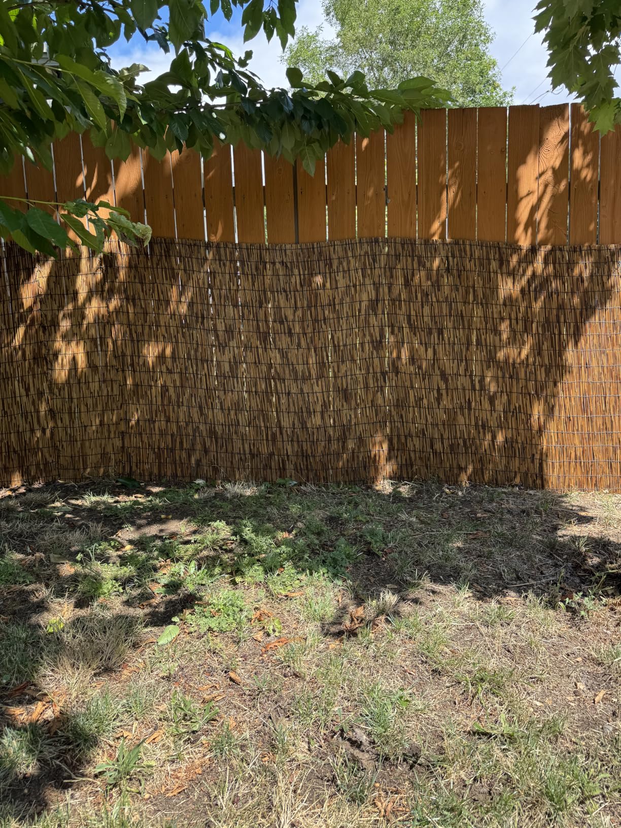ZNCMRR Reed Fencing Rolls Fencing 4ft High Roll Reed Screen for Balcony Patio Garden Backyard 4FT X 16.4FT Privacy Fence (Brown) customer photo 2