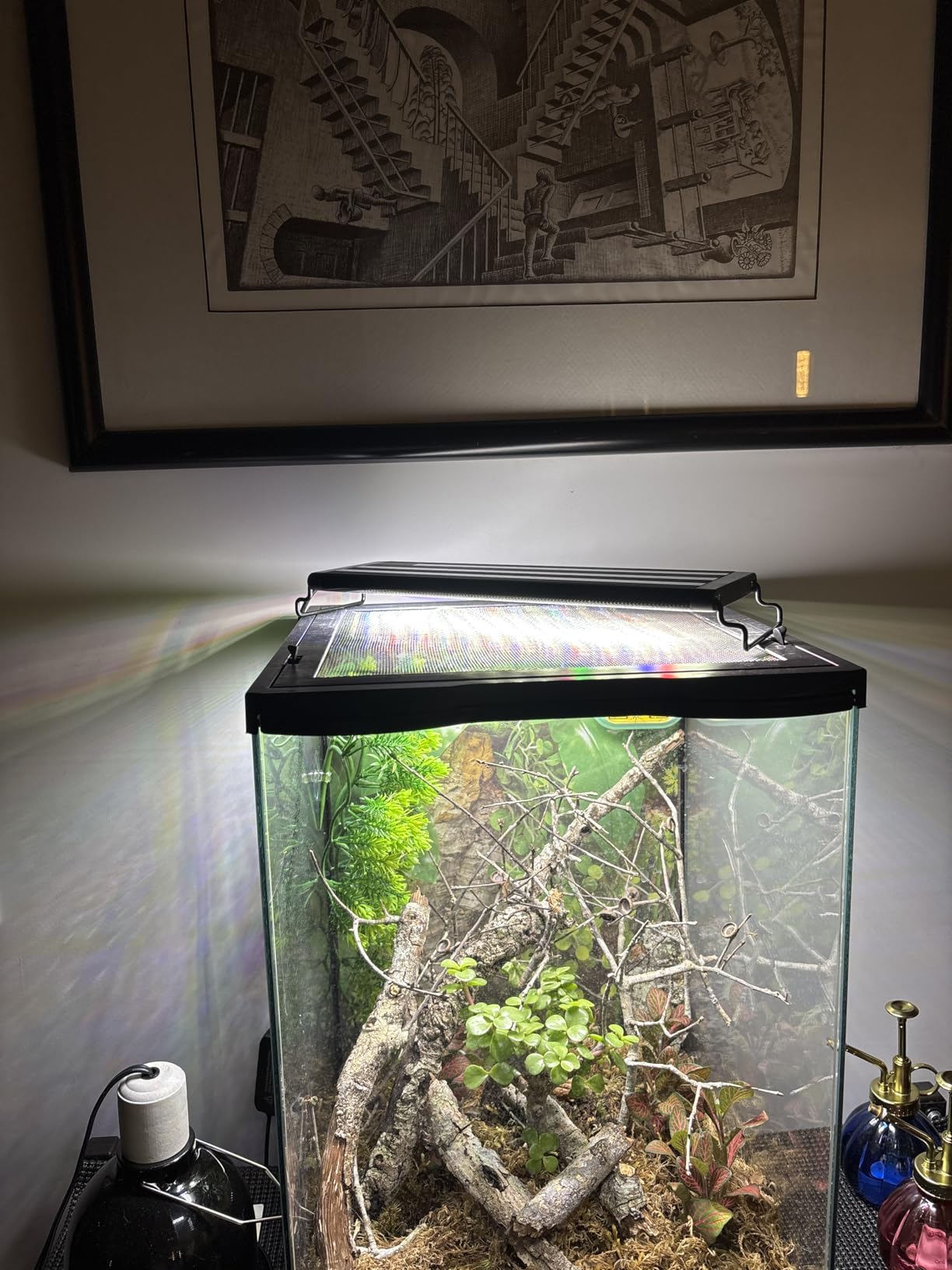 SEAOURA Led Aquarium Light for Plants-Full Spectrum Fish Tank Light with Timer Auto On/Off, 18-24 Inch, Adjustable Brightness, White Blue Red Green Pink LEDs with Extendable Brackets for Freshwater customer photo 1