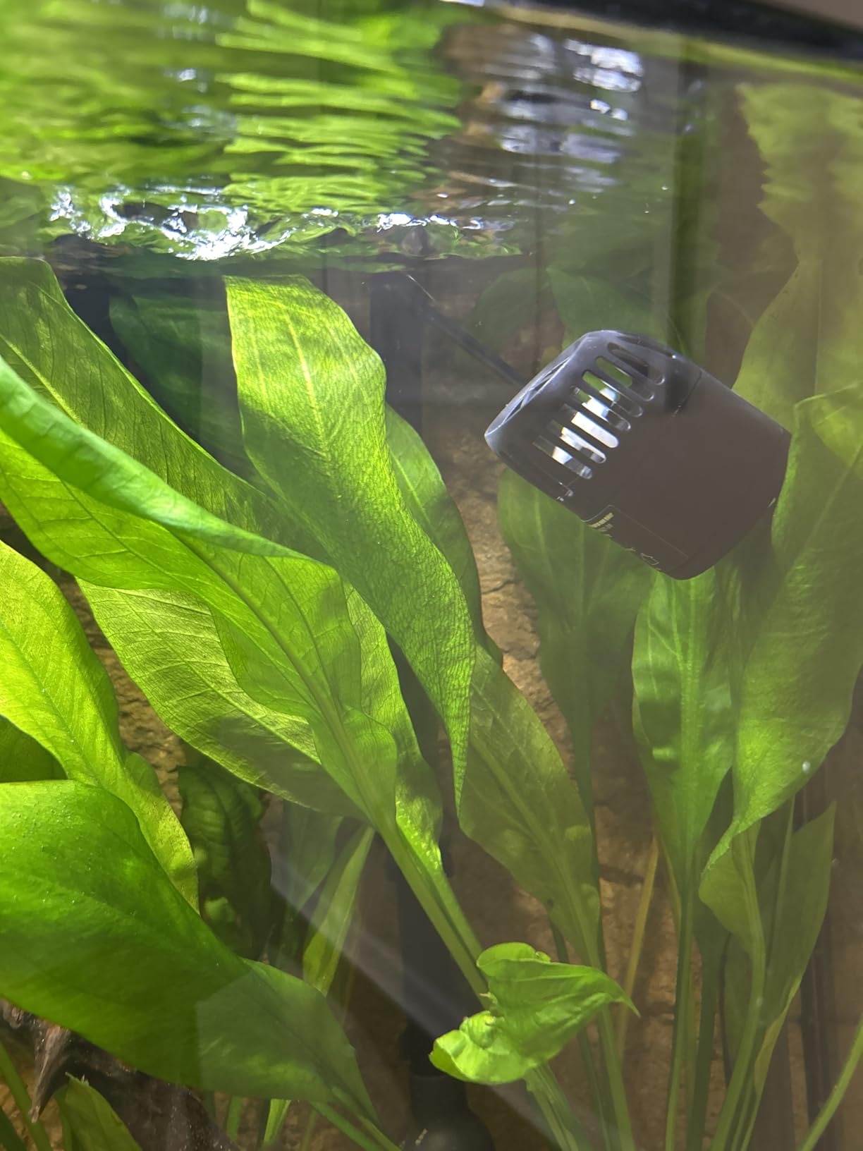 hygger Mini Wave Maker for 15-40 Gallon Aquarium with Magnetic Mount Quiet Powerhead for Saltwater and Freshwater Fish Tank 530 GPH customer photo 2