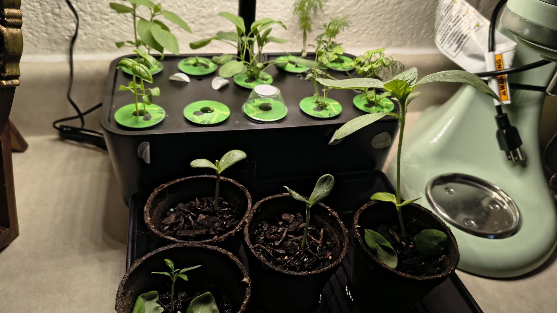 Indoor Garden Hydroponics Growing System: 10 Pods Kit with LED | Plant Germination Kit Herb Vegetable Growth Lamp Countertop, Hydroponic Planter Grower Harvest Lettuce for Healthy Home Cooks customer photo 2