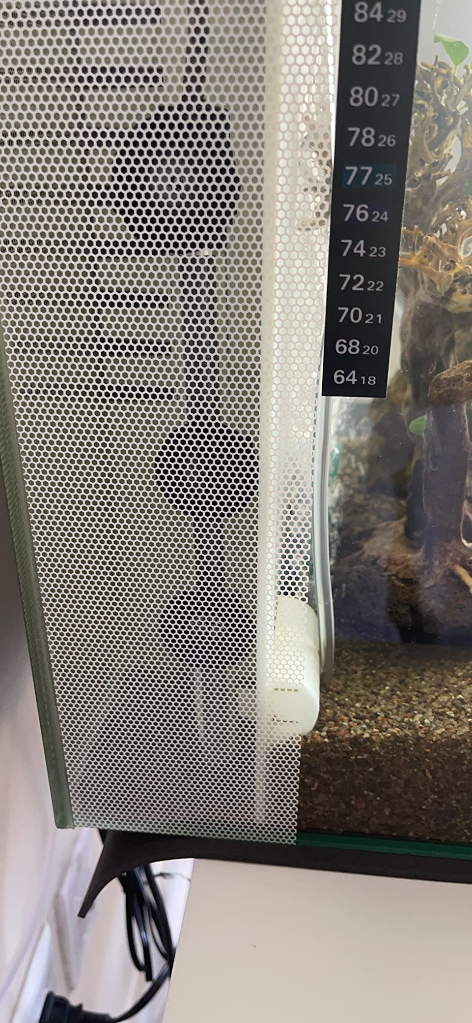 HITOP Compact Submersible Aquarium Heater - 100W Digital Heater for Fish Tank Turtle Tank, for Saltwater and Fresh Water with Temperature Controller customer photo 1