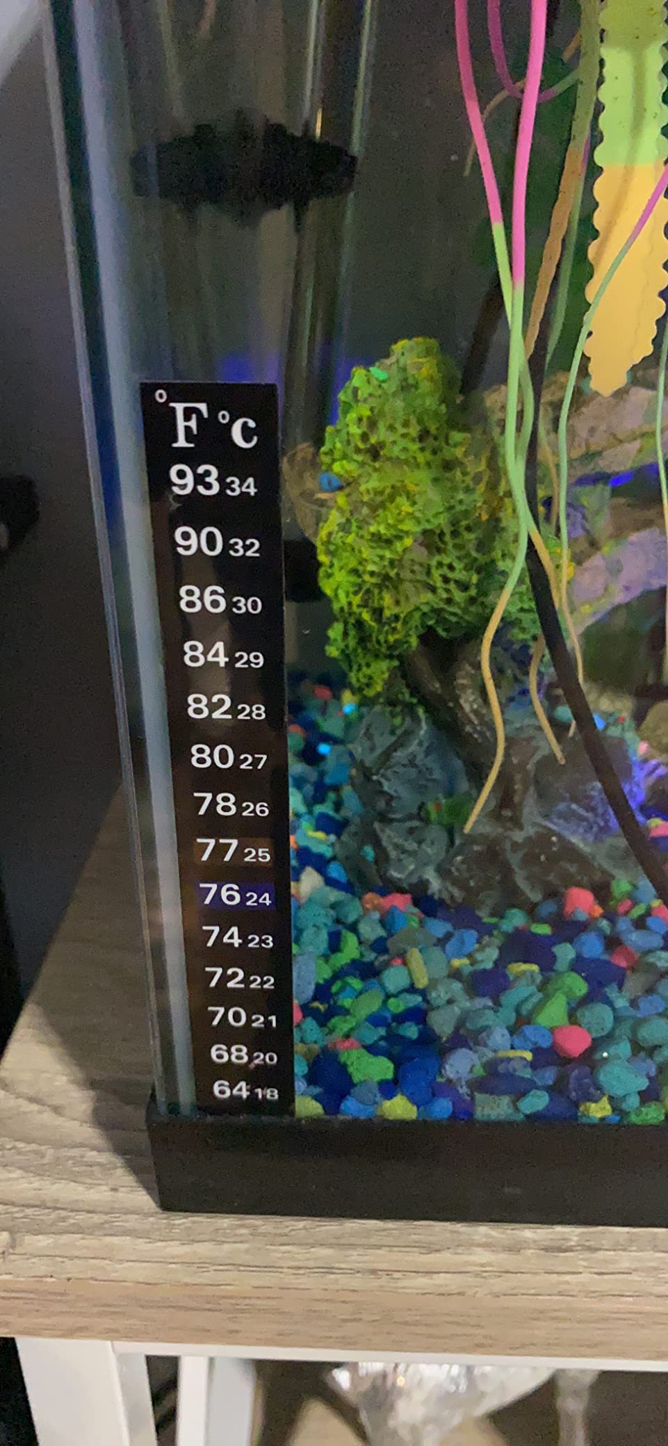 HITOP Compact Submersible Aquarium Heater - 100W Digital Heater for Fish Tank Turtle Tank, for Saltwater and Fresh Water with Temperature Controller customer photo 2