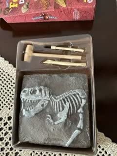 DANCING BEAR Fossil Dig Kit, Excavate 15 Prehistoric Fossils including Real Dinosaur Bones, and Shark Teeth, Paleontology STEM Education for kids, Fun Science Activity Gift Sets for Girls and Boys customer photo 1