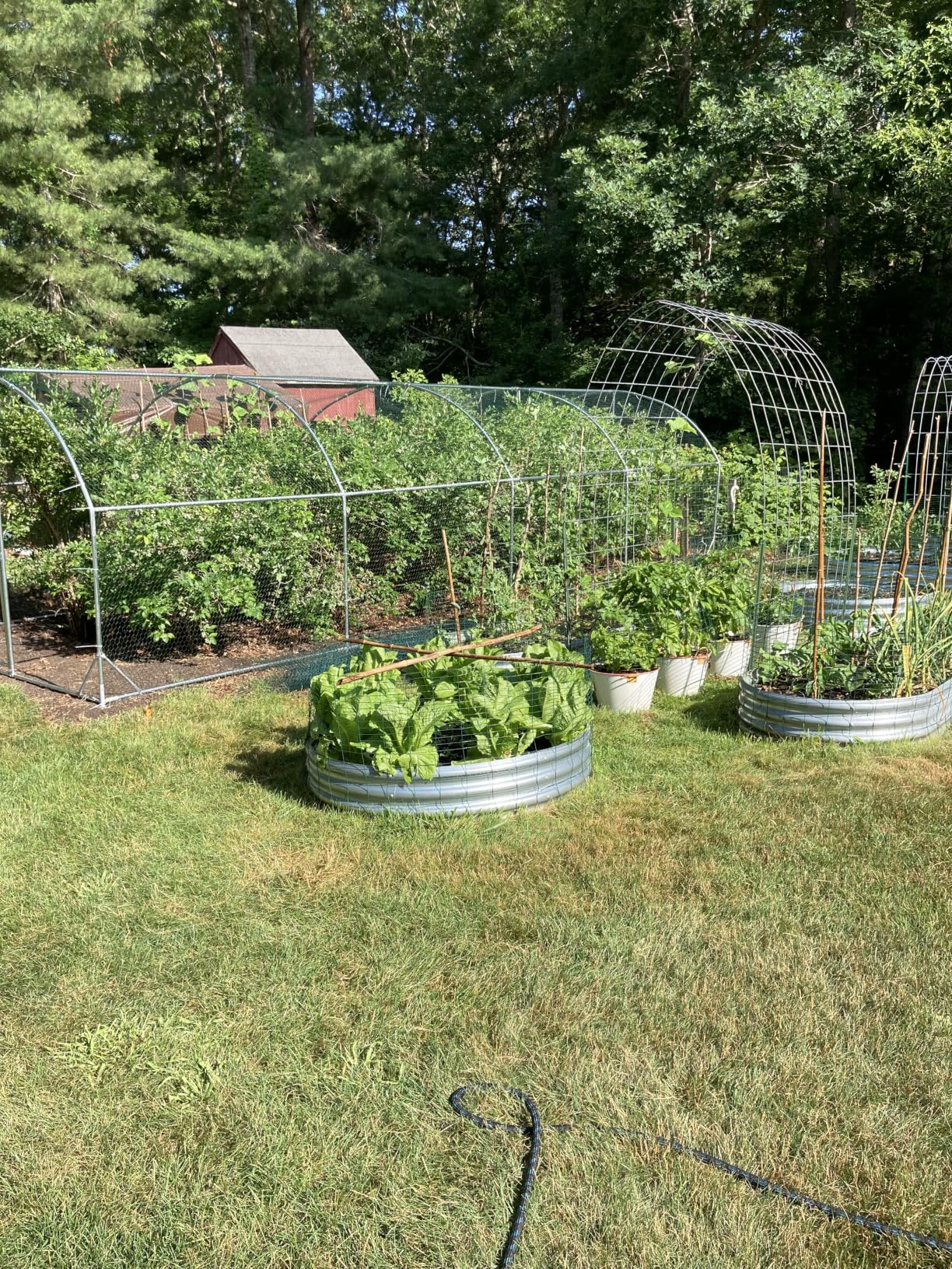 Large Metal Chicken Coop Round Top Upgrade Tri-Supporting Wire Mesh Chicken Run, Chicken Pen with Water-Resident and Anti-UV Cover, Duck Rabbit House Outdoor (19'L x 9'W x 6.5'H) customer photo 2