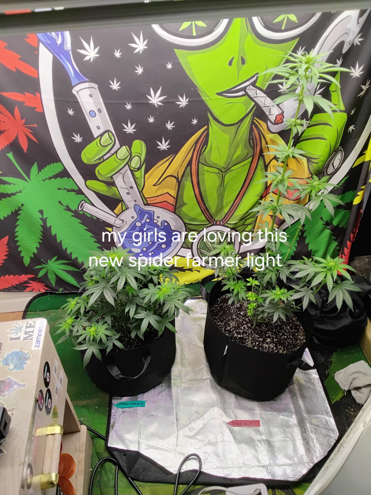 Spider Farmer G4500 Cost-Effective 320W 2x4 Coverage LED Grow Lights, Full Spectrum Dimmable Bar Style Led Growing Lamp for Indoor Plants, Upgraded Smart App Control customer photo 1