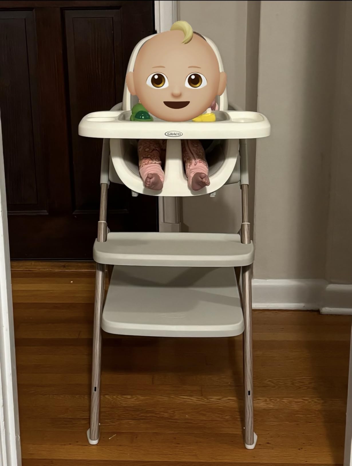 Graco EveryStep 6 in 1 High Chair, Babies and Toddlers Portable Slim High Chair with 6 Growing Stages from Infant to Toddler Seating, Convenient for Dining Time, Featured Design in Misty customer photo 2