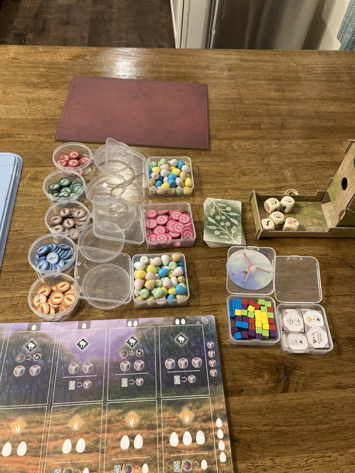 Taiyin 20 Pcs Board Game Token Storage Containers Clear Plastic with Lids | Assorted Sizes for Pieces and Dice, Square and Round Boxes, Screw Lids, Clear Design for Visibility customer photo 2