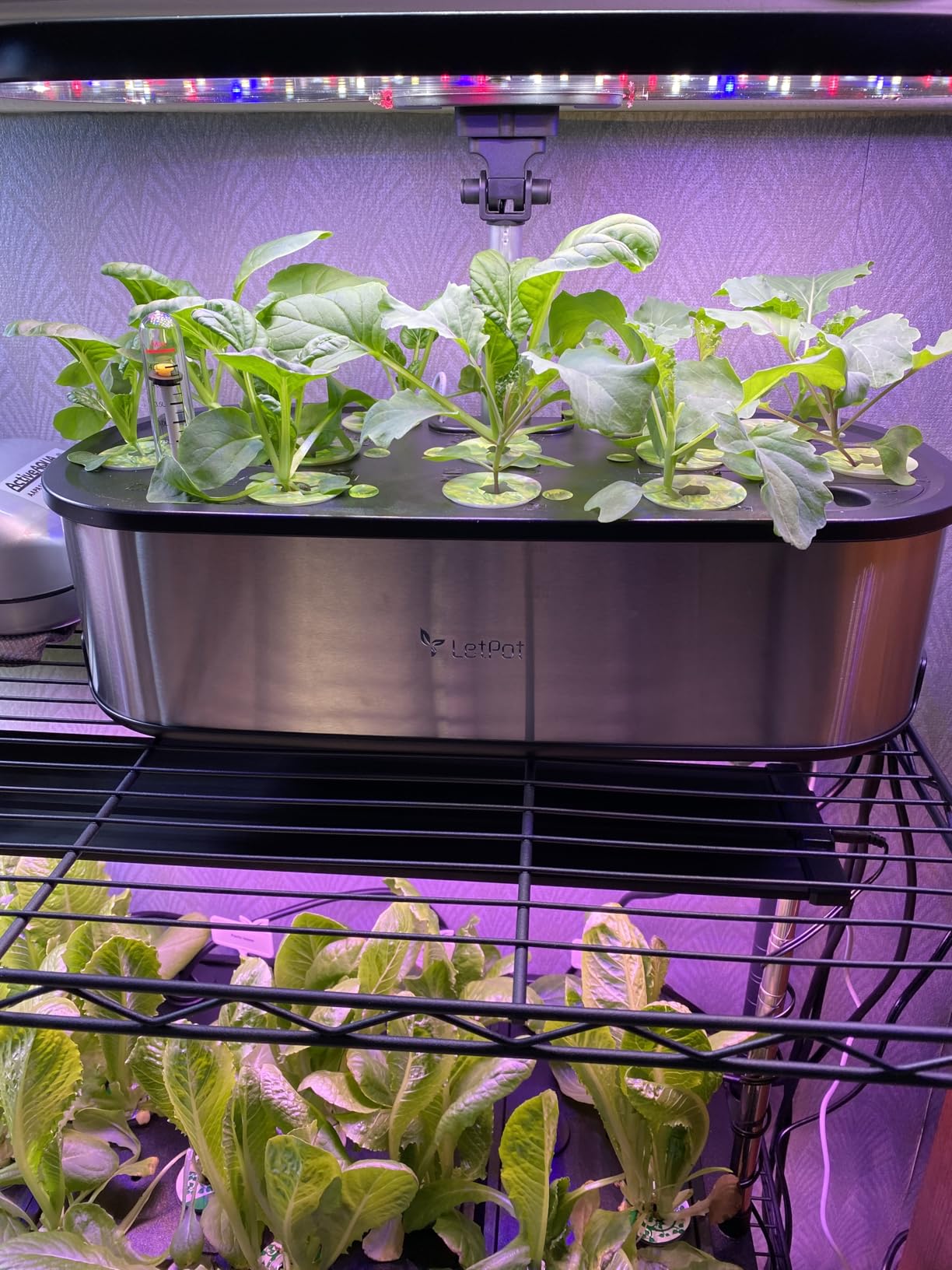 LETPOT LPH-SE Hydroponics Growing System, 12 Pods Smart Herb Garden Kit Indoor, APP & WiFi Controlled, with 24W Growing LED, 5.5L Water Tank, Pump System, Automatic Timer customer photo 2
