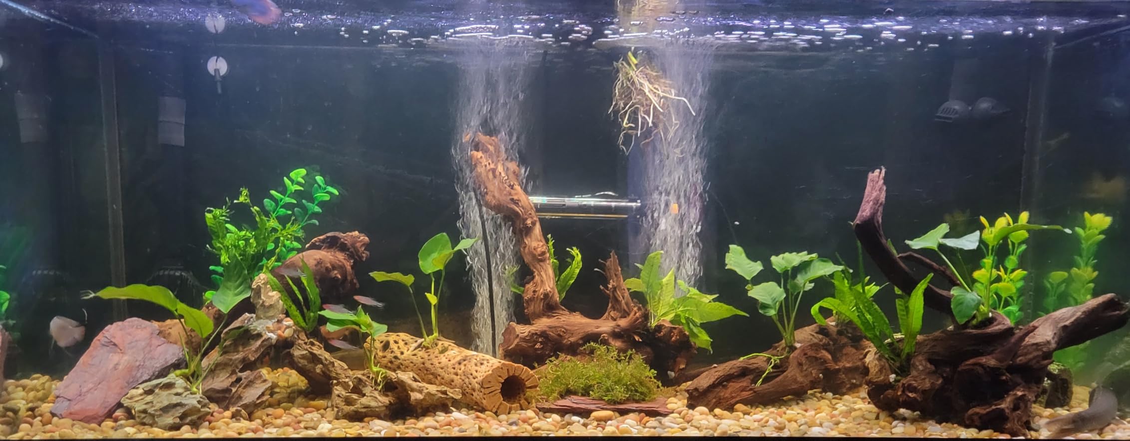 Fluval FX2 High Performance Canister Aquarium Filter - Multi-Stage Filtration, Built-in Powered Water Change System customer photo 1
