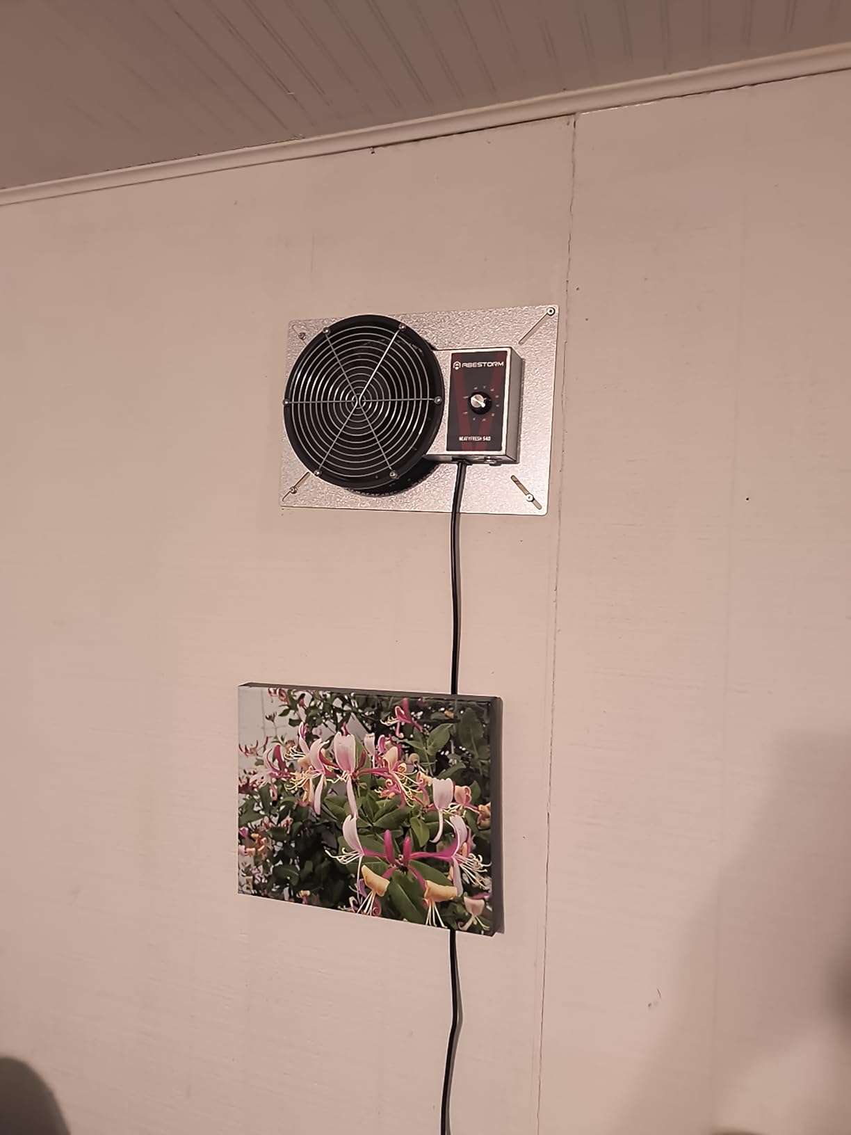 Abestorm 540CFM IP-55 Rated Crawlspace Ventilation Fan with Humidistat Thermostat, 8.7inch Basement Vent Fans with Isolation Mesh, Ventilator Fan for Crawl Space Basement Garage Attic Grow Tent customer photo 1