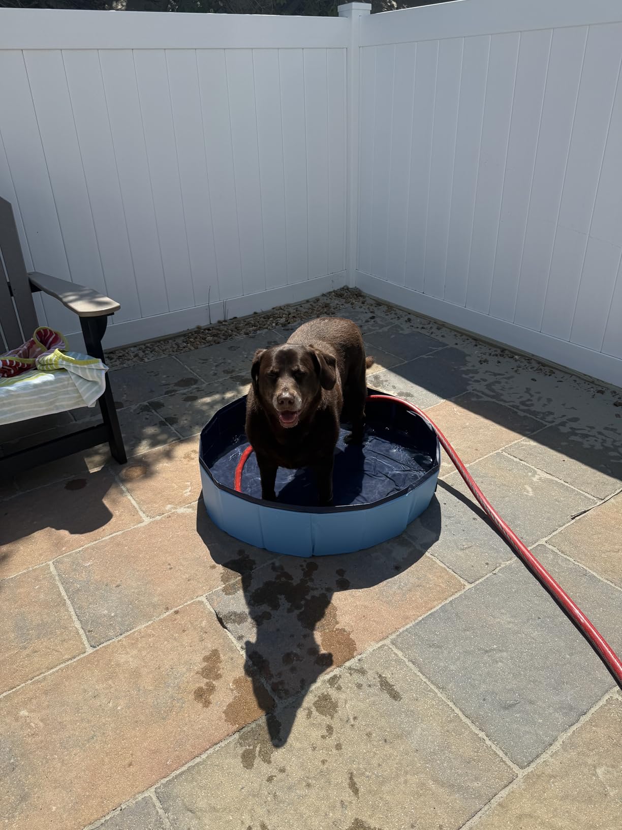 Eooqi Foldable Dog Pool, Portable Pet Bath Tub and Kiddie Swimming Pool | Collapsible Bathtub for Puppies, Small, Medium and Large Dogs, Cats and Kids, 32 x 8 in, Blue customer photo 1