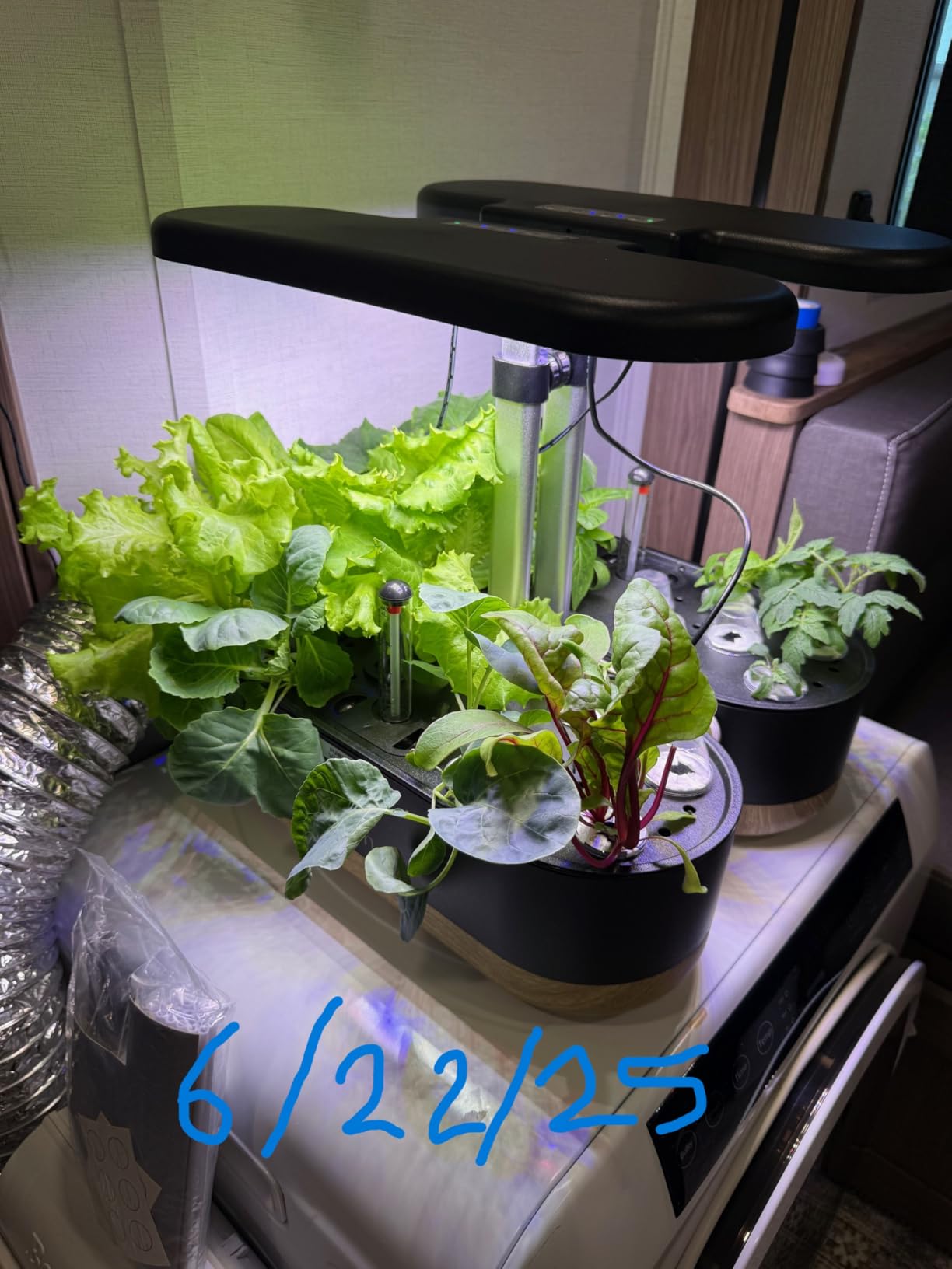 inbloom Hydroponics Growing System 12 Pods, Indoor Herb Garden with LEDs Full-Spectrum Plant Grow Light, Water Shortage Alarm, Automatic Timer, Height Adjustable, Gardening Gifts for Women, White customer photo 1