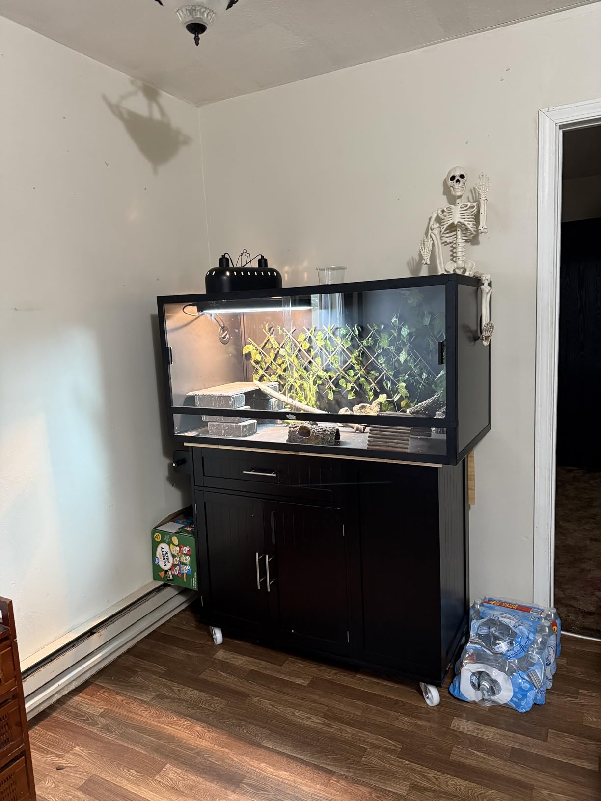 4x2x2 (120 Gallon) Reptile Enclosure V3 PVC Panels, Glass Doors, Lightweight, Easy to Assemble, Heavy Duty Screen, Aluminum Frame customer photo 1