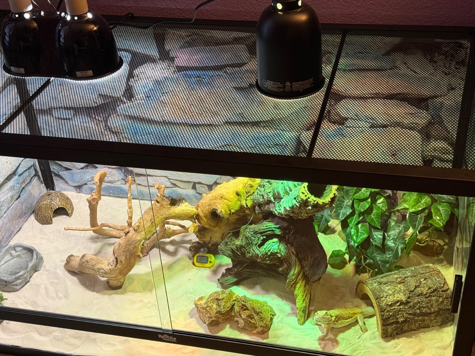 4x2x2 (120 Gallon) Reptile Enclosure V3 PVC Panels, Glass Doors, Lightweight, Easy to Assemble, Heavy Duty Screen, Aluminum Frame customer photo 2