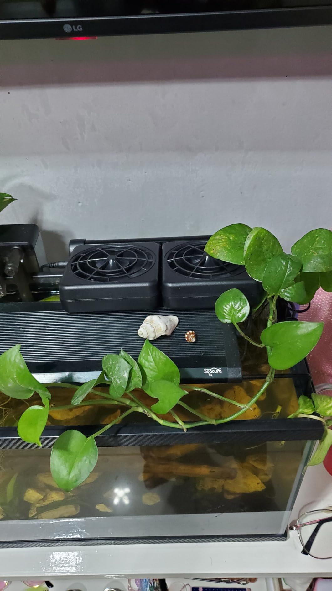 DaToo 3 Fans Aquarium Chiller Fish Tank Fan Aquarium Cooling Fan, 1 Yr Warranty customer photo 1