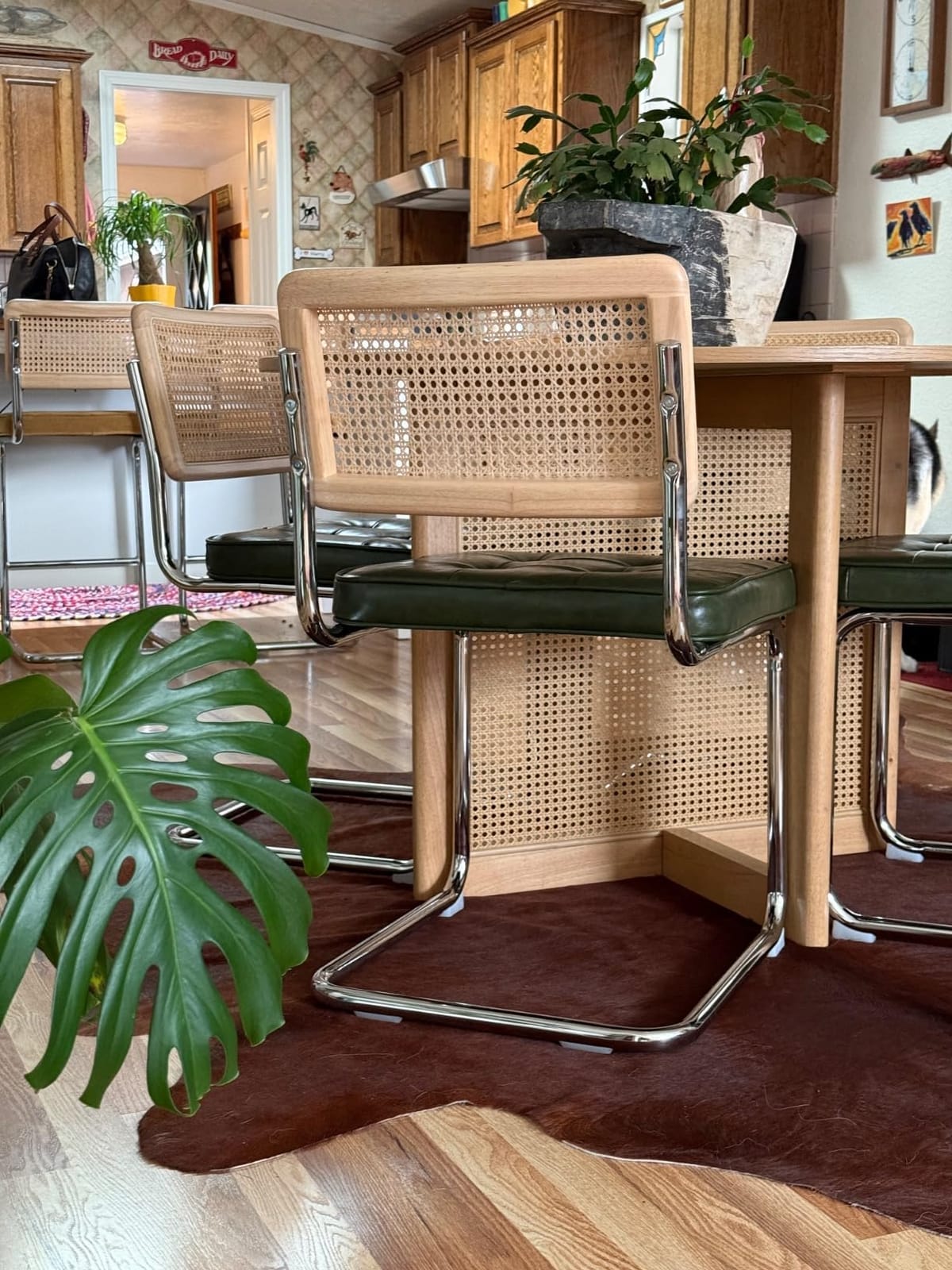 Zesthouse Natural Rattan Dining Chairs Set of 2, Mid Century Modern Dining Room Chairs with Chrome Leg, Faux Leather Kitchen Chair with Solid Wood Back & Cane Mesh, Breuer Cesca Design Inspired, Green customer photo 1