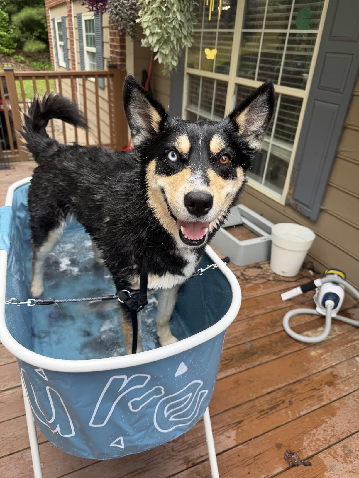 Furesh Foldable Dog Washing Station for Large Dogs with Stairs | Reinforced aluminum frame with foldable stairs for safe, elevated bathing and compact storage. customer photo 1