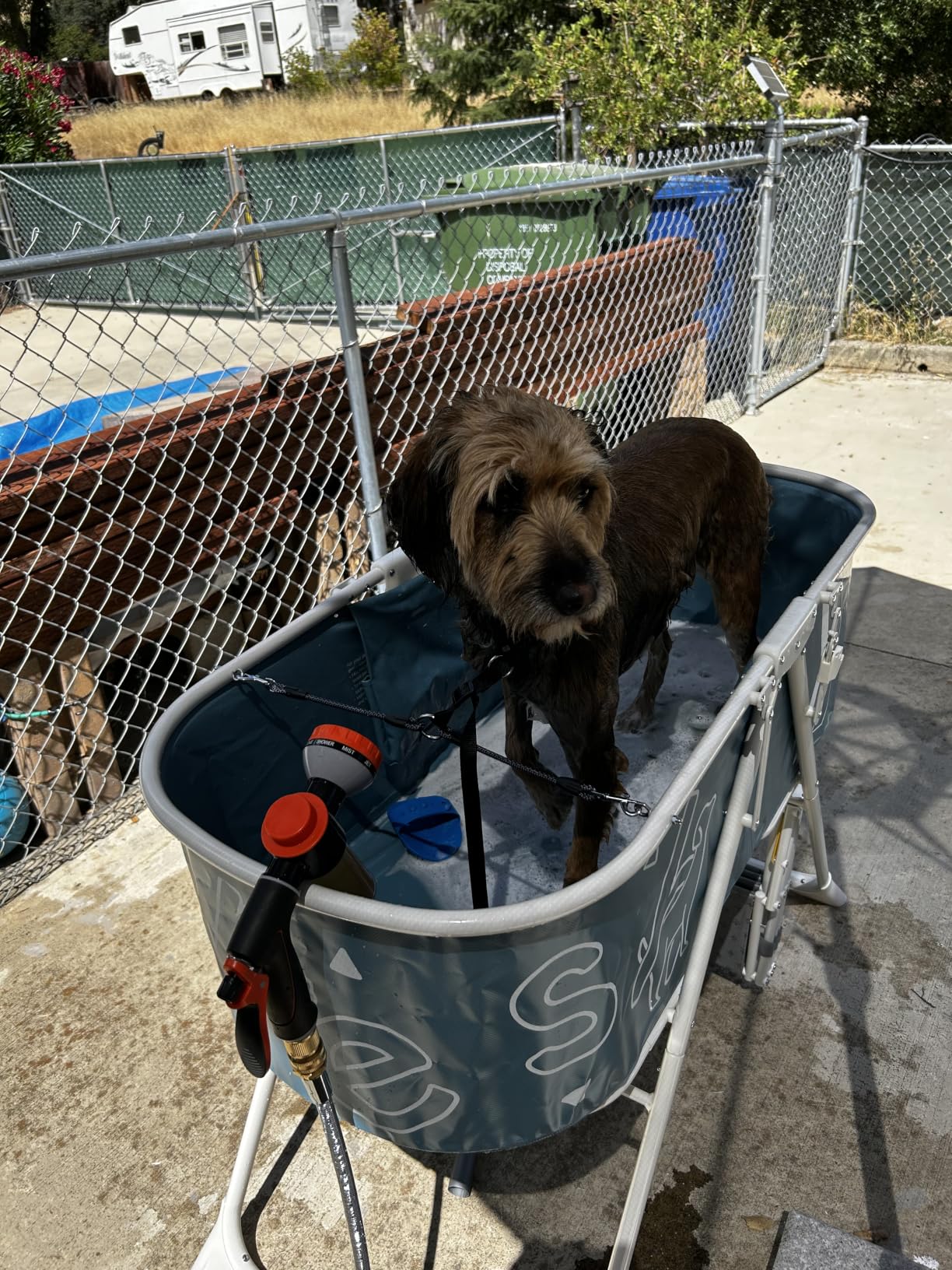 Furesh Foldable Dog Washing Station for Large Dogs with Stairs | Reinforced aluminum frame with foldable stairs for safe, elevated bathing and compact storage. customer photo 2