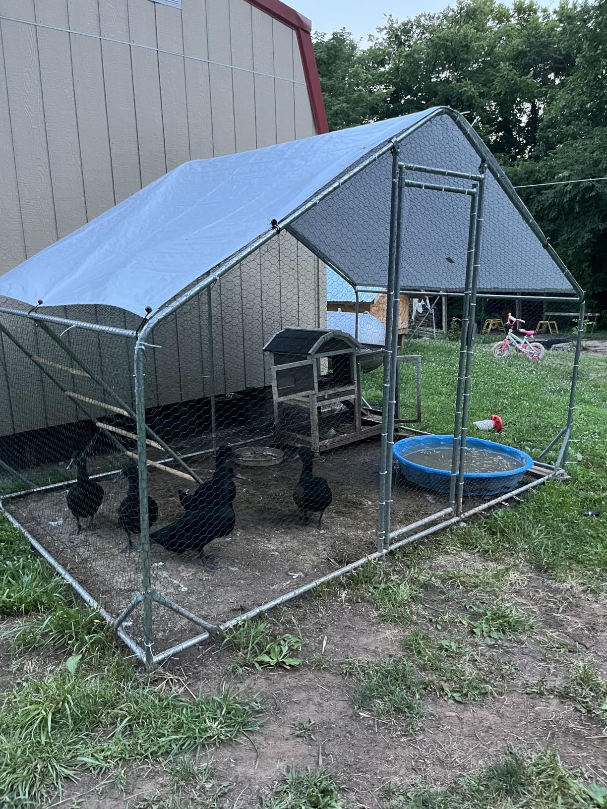 CHIKENCOOP 9.8 x 6.5 x 6.5 ft Metal Chicken Coop, Chicken Run with Cover | Walk-in outdoor enclosure with waterproof UV-resistant cover, reinforced frame, and 47 x 40 in eucalyptus perch customer photo 2