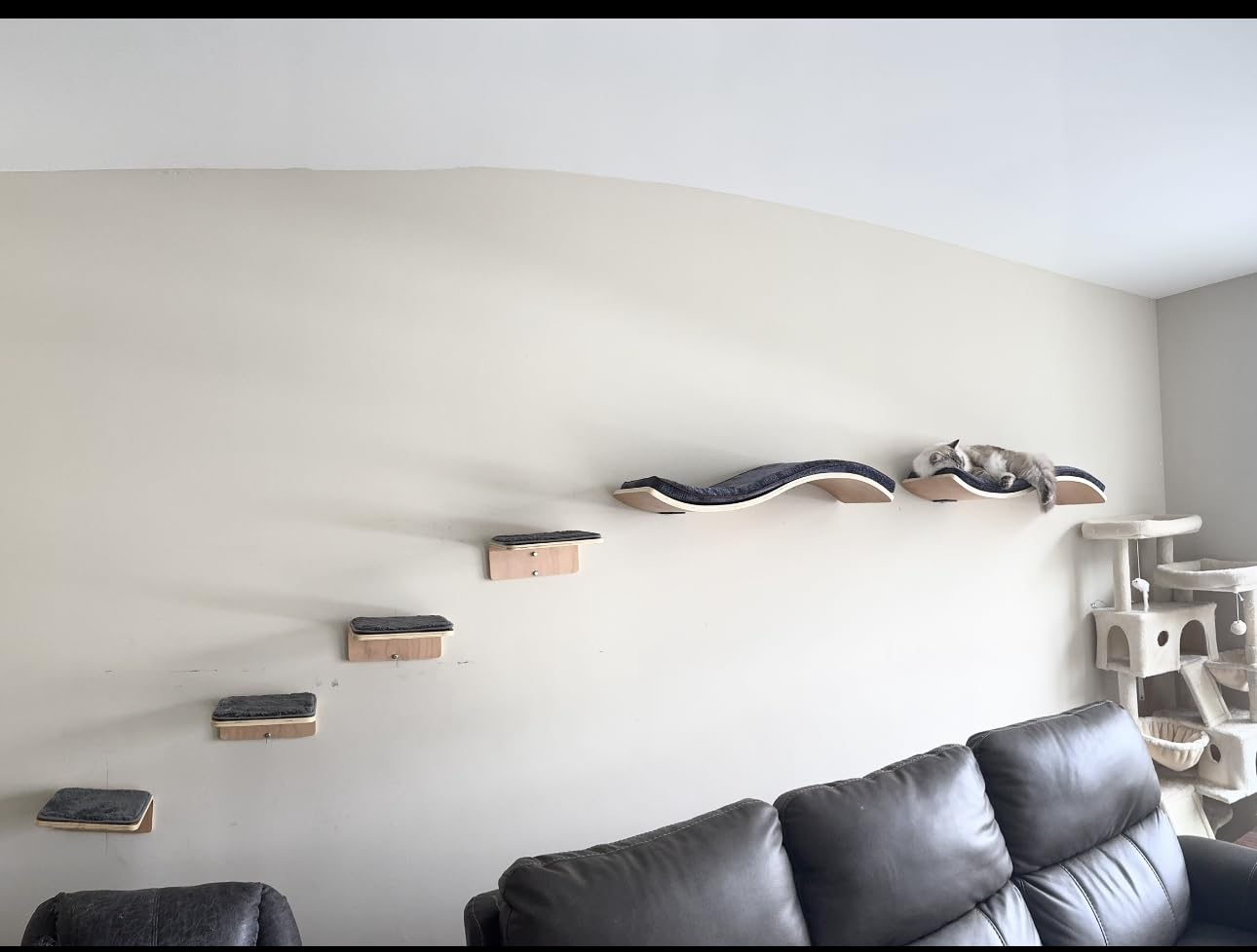 Cat Wall Shelf with Two Steps - Wave Cat Shelves and Perches for Wall - Wall Mounted Cats Furniture for Sleeping, Playing, Climbing, and Lounging customer photo 1