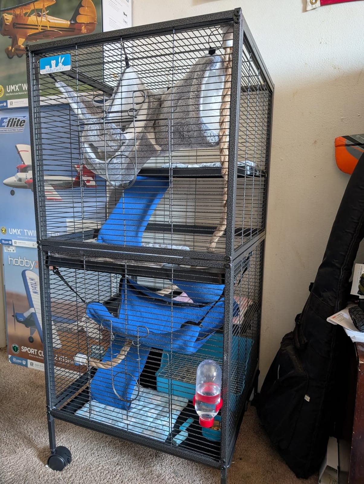 HABUTWAY 50''H Metal Small Animal Cages, Rolling Chinchilla Cage with Removable Ramps, Lagre Cage for Chinchillas/Guinea Pigs/Rabbit, Ferret Cages with Hammock & 5 Tiers, Black customer photo 1