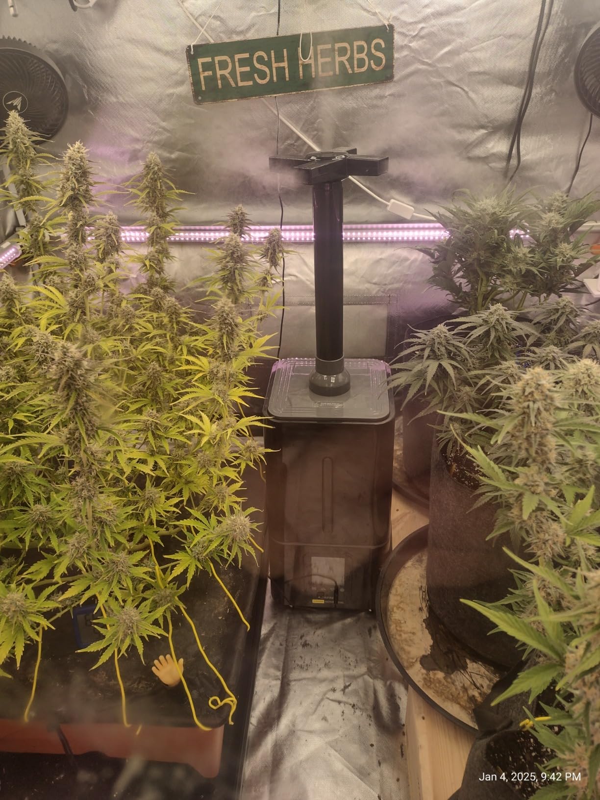 AC Infinity CLOUDFORGE T7, Plant Humidifier 15L with VPD Humidity Controller, Redesigned No-Leak Seal for Grow Tents, Grow Rooms & Greenhouses | 10-Level Precision Vaporizer, Extendable Hose customer photo 1