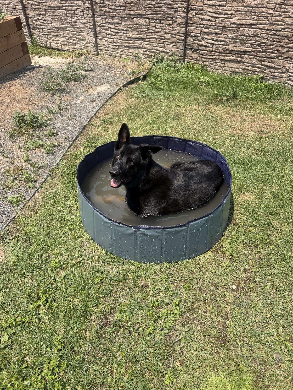 Niubya Foldable Dog Pool, Collapsible Plastic Dog Swimming Pool, 80x12in | Portable Bath Tub for Large Pets Dogs, Pet Wading Pool Indoor and Outdoor Use customer photo 1