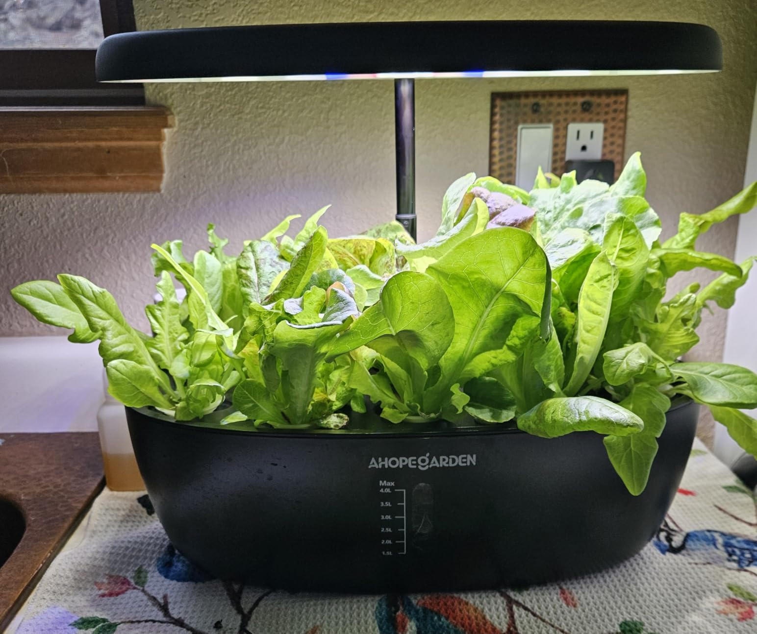 Ahopegarden Indoor Garden Hydroponics Growing System: 12 Pods Plant Germination Kit Garden Kit Growth Lamp Countertop with LED Grow Light Hydrophonic Planter Grower Harvest Vegetable Lettuce customer photo 1