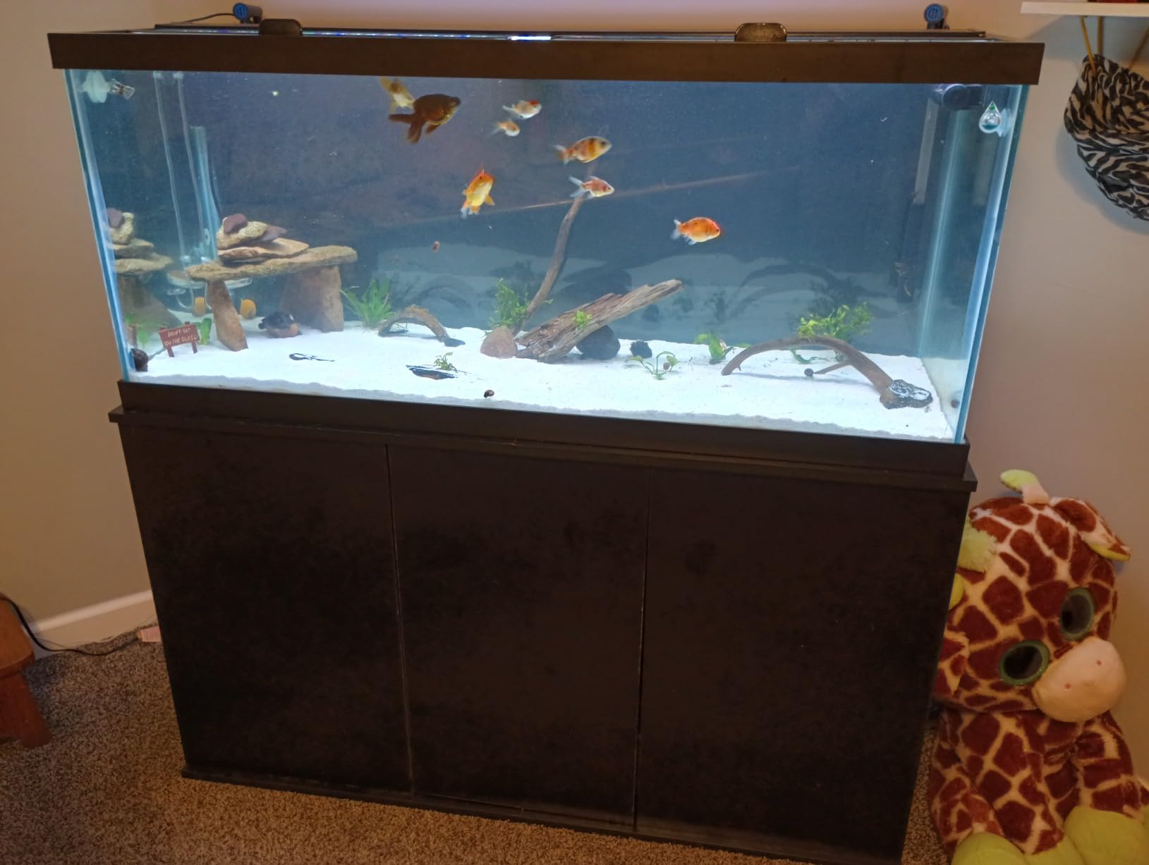 hygger Aquarium Wave Maker, Adjustable Cross Flow Pump with LED Display Controller, Magnetic DC 24V Aquarium Powerhead for Freshwater and Marine Reef Aquariums Up to 135 Gallon (18w) customer photo 2