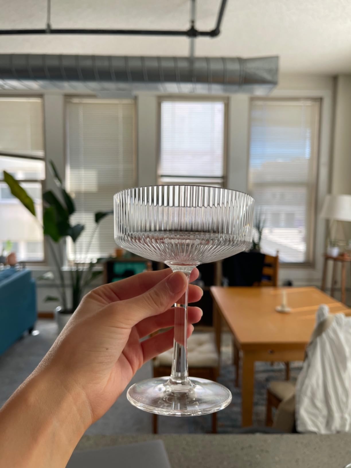 Vintage Ribbed Acrylic Martini Glasses Set, Coupe Glasses, Set of 6 - 8 oz | European-Inspired Style, Shatterproof & BPA-Free, Reusable Drinkware, Ideal for Martinis, Champagne, & Cocktails customer photo 1