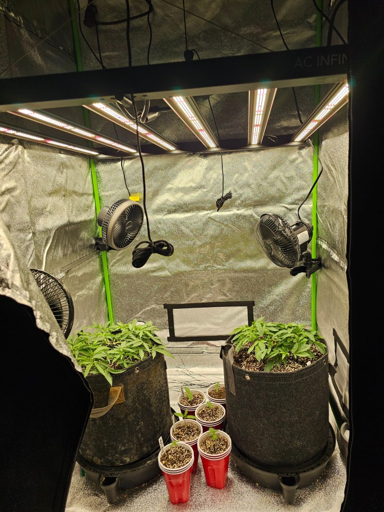 AC Infinity IONFRAME EVO6, Samsung LM301H EVO Bar LED Grow Light 4x4, 1680 Diodes, with Schedule Controller, 500W Full-Spectrum Commercial Plant Lights for Indoor Growing in Grow Rooms & Greenhouses customer photo 2